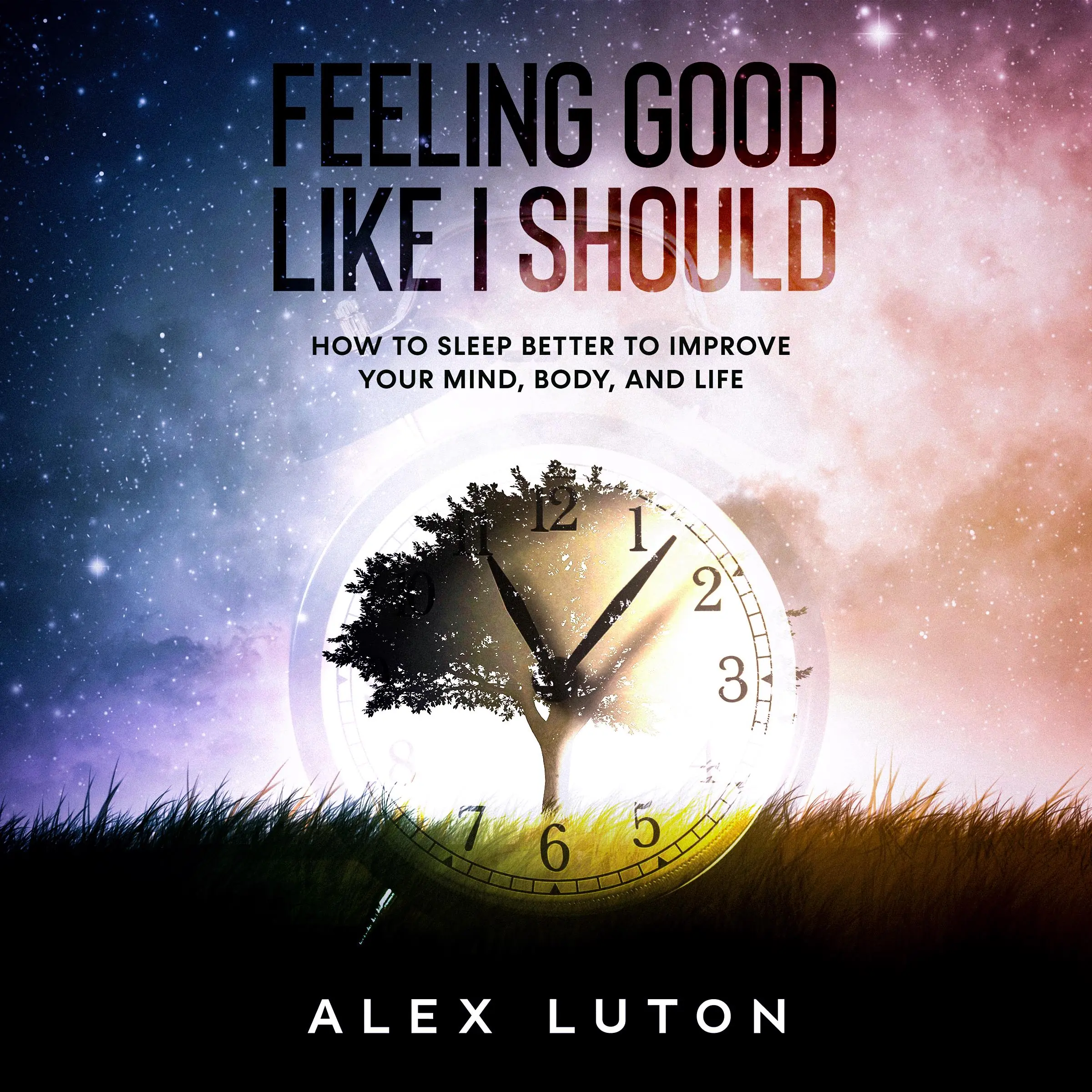 Feeling Good Like I Should Audiobook by Alex Luton