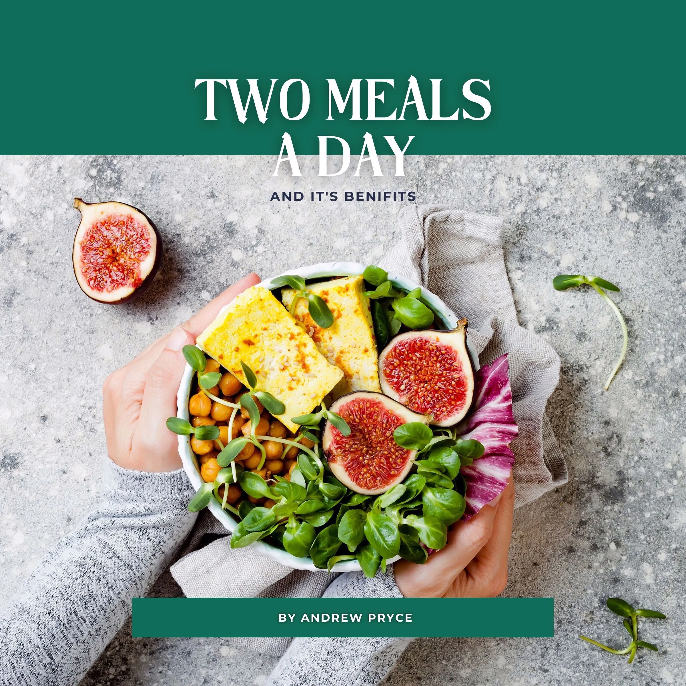 Two Meals a Day Audiobook by Andrew Pryce