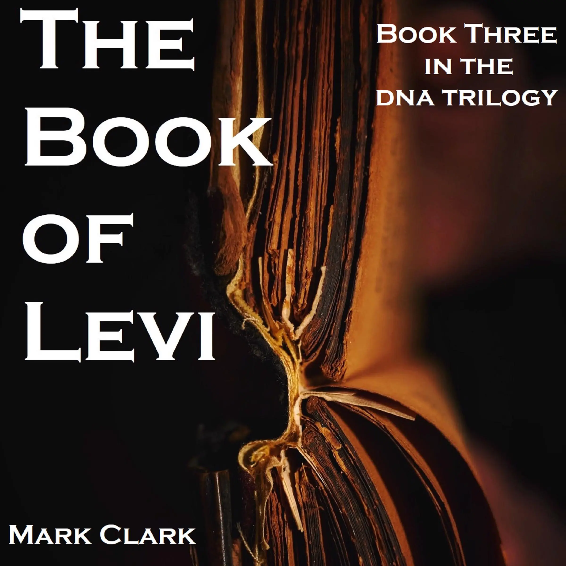 DNA BOOK 3 - THE BOOK OF LEVI by Mark Clark Audiobook