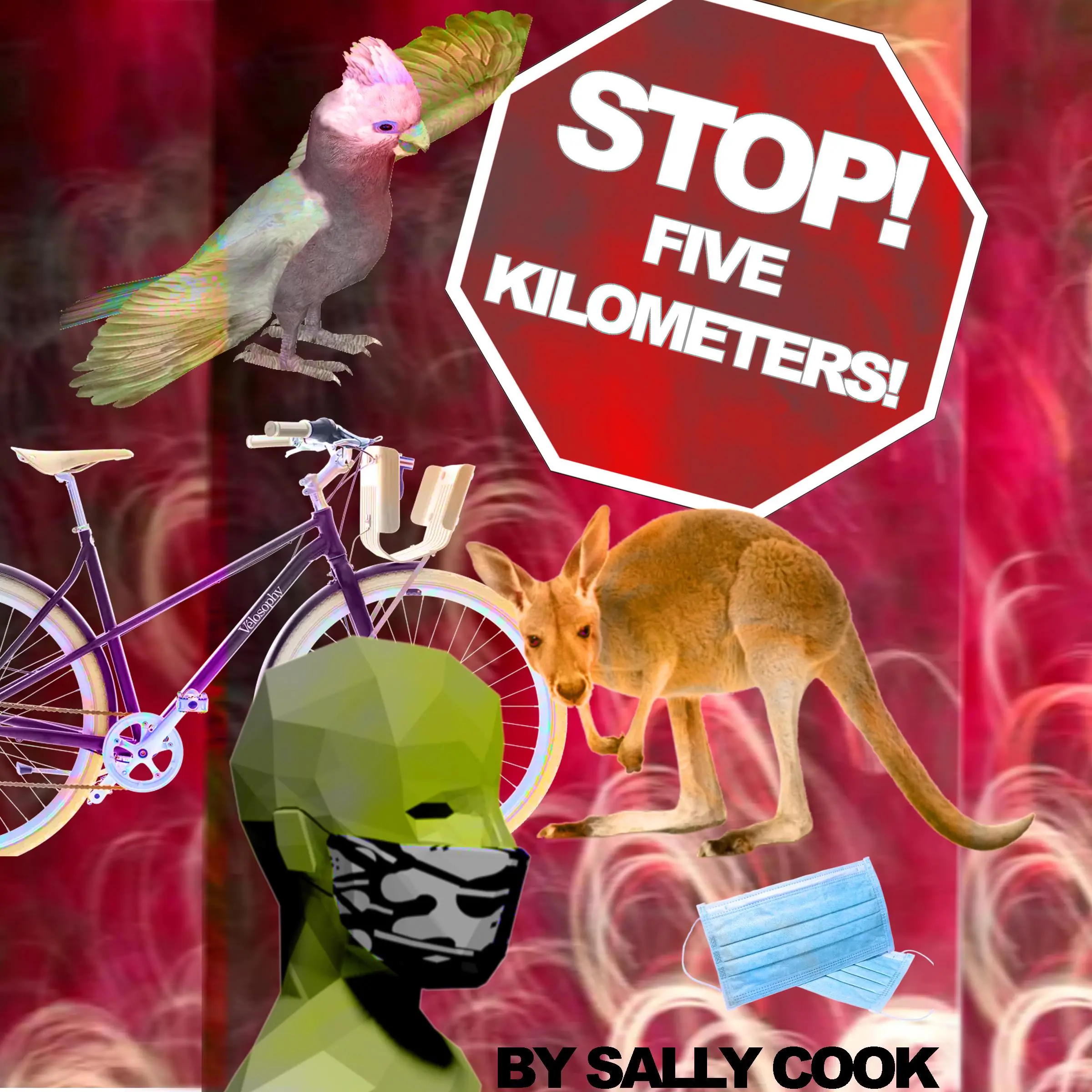 Stop! Five Kilometers ! by Sally Cook