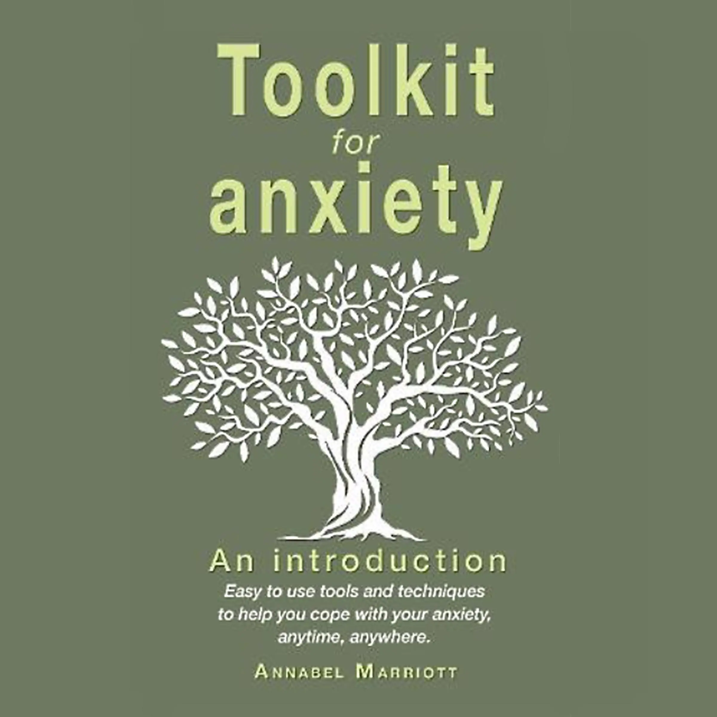 Toolkit for Anxiety Audiobook by Annabel Marriott