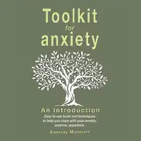 Toolkit for Anxiety Audiobook by Annabel Marriott