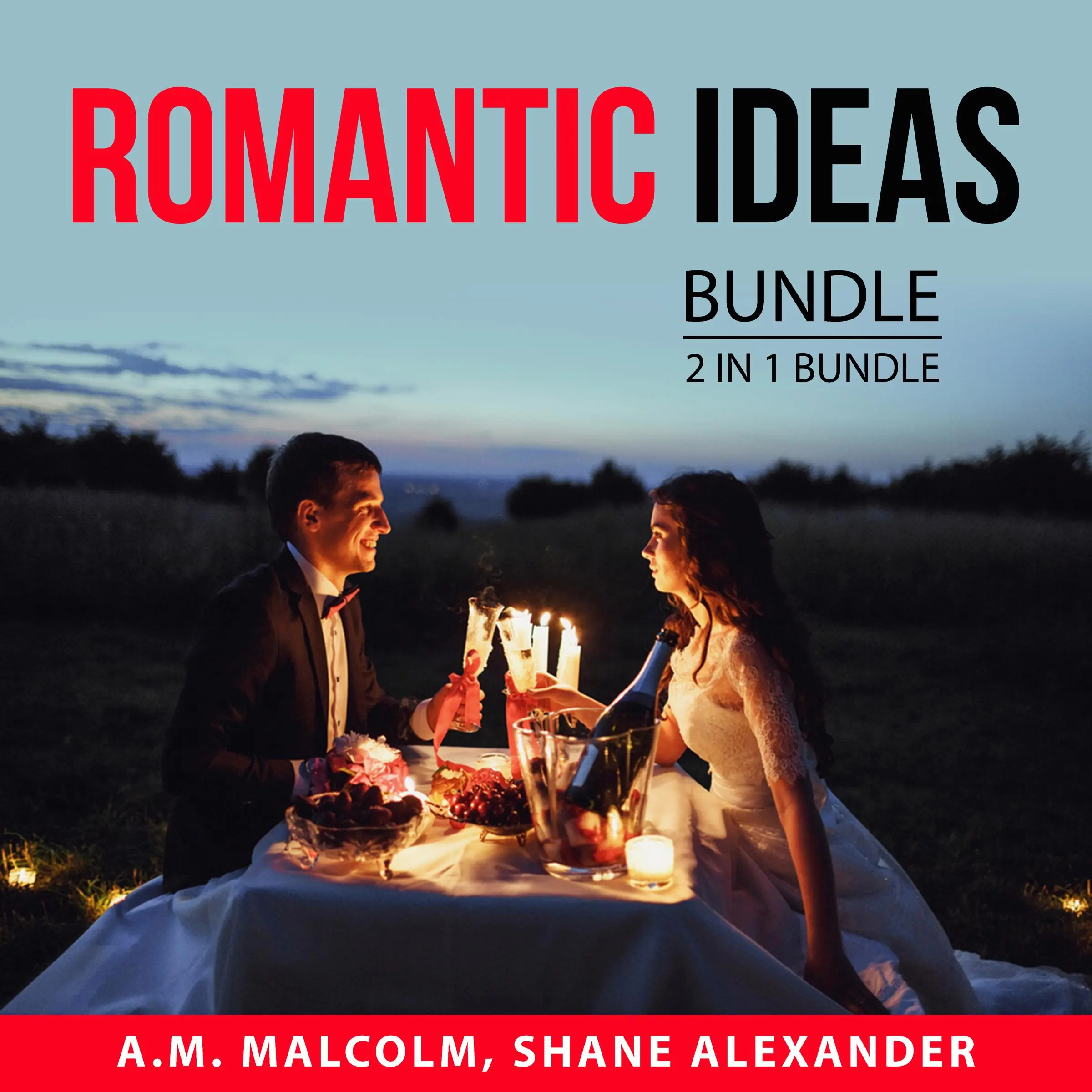 Romantic Ideas Bundle, 2 in 1 Bundle: Fall in Love Again and Romantic by and Shane Alexander