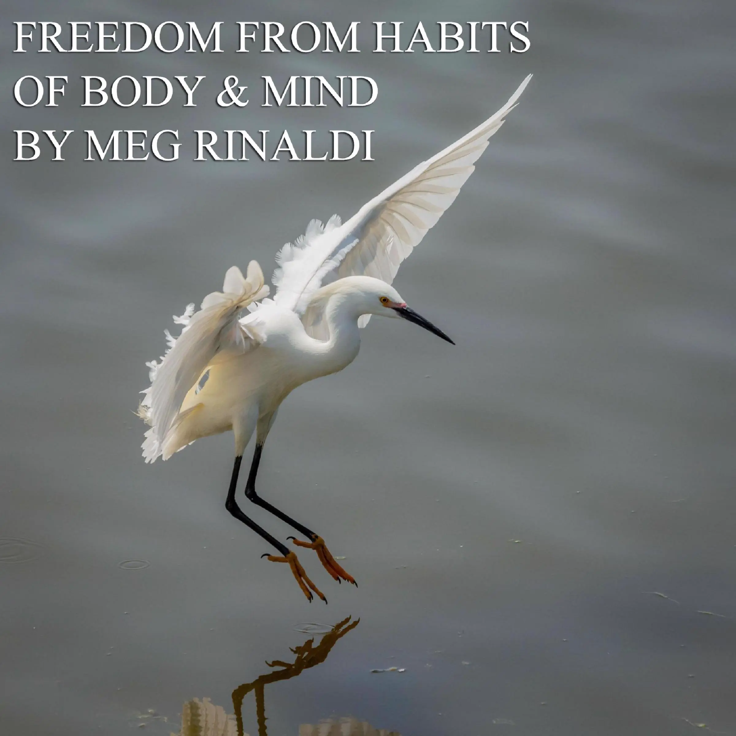 Freedom From Habits of Body & Mind by Meg Rinaldi