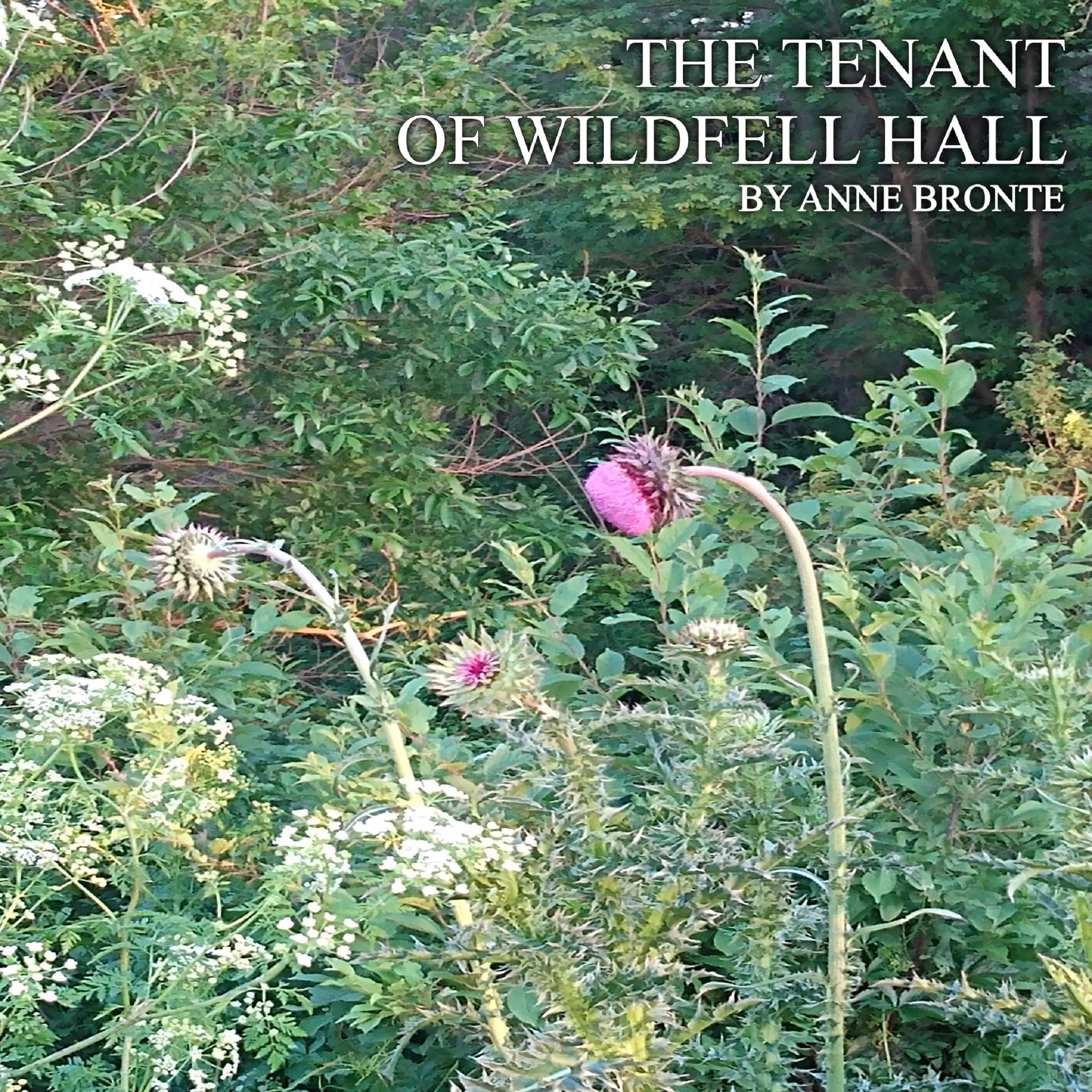 The Tenant of Wildfell Hall by Anne Bronte