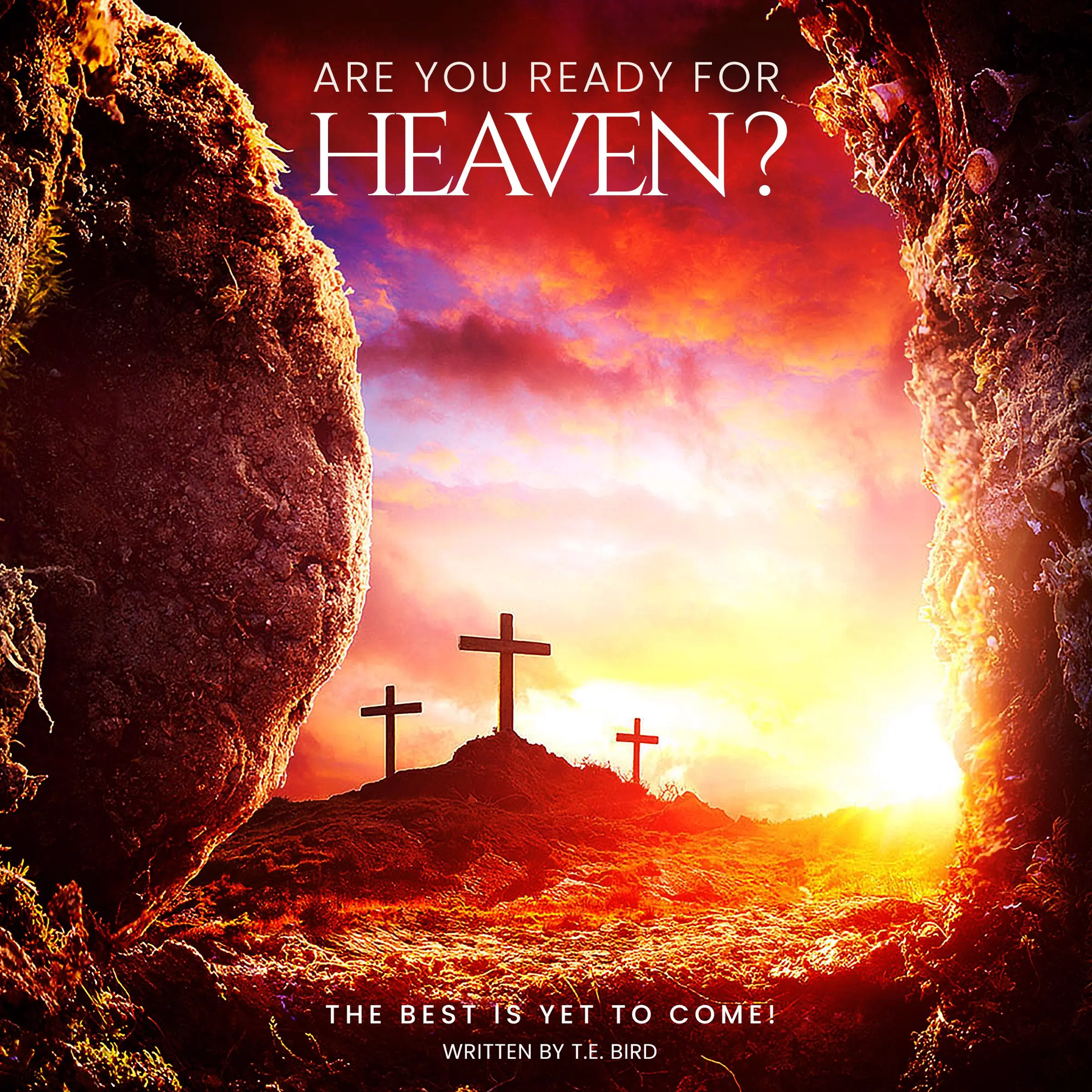 Are You Ready For Heaven?: The Best Is Yet To Come! Audiobook by T.E. Bird