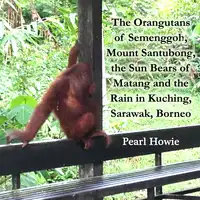 The Orangutans of Semenggoh, Mount Santubong, the Sun Bears of Matang and the Rain in Kuching, Sarawak, Borneo Audiobook by Pearl Howie