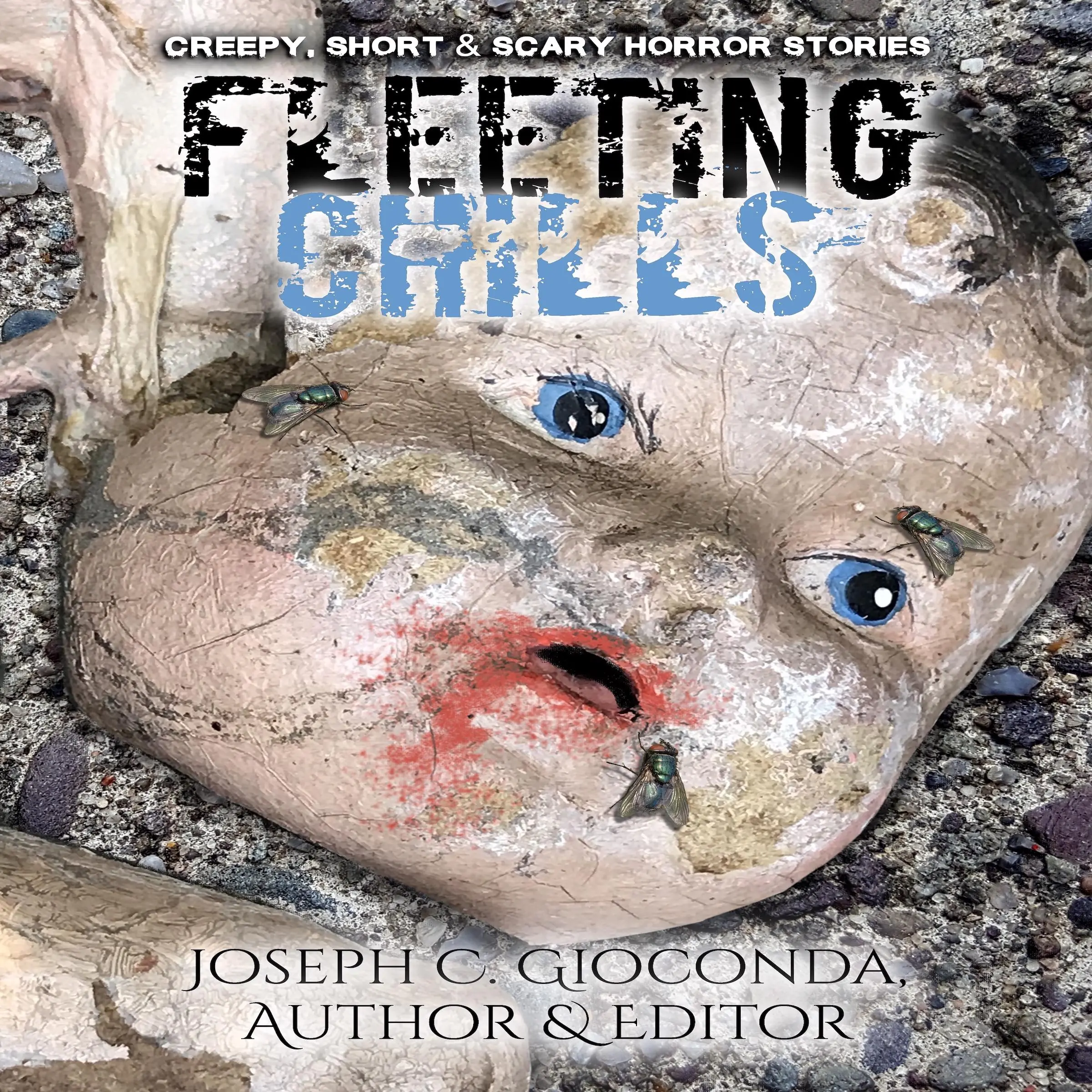 Fleeting Chills by Joseph C. Gioconda Audiobook