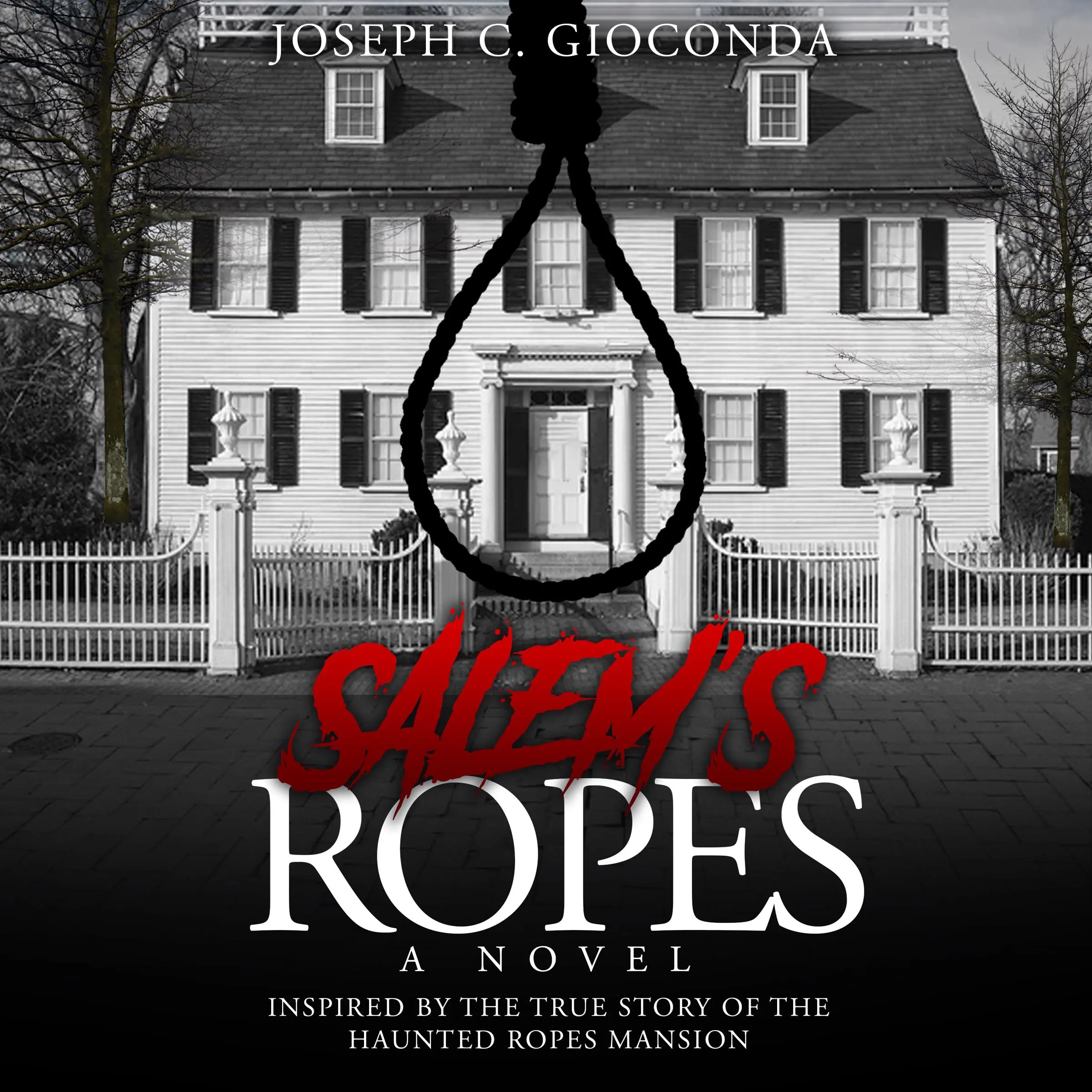 Salem's Ropes Audiobook by Joseph C. Gioconda