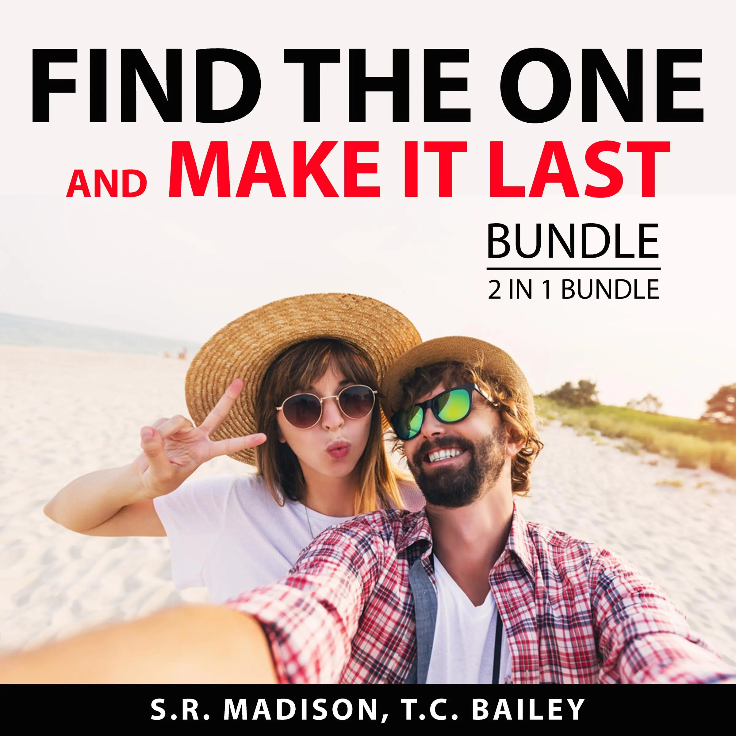 Find the One and Make it Last Bundle, 2 in 1 Bundle: Intimate Relationships and Making Marriage Work Audiobook by and T.C. Bailey