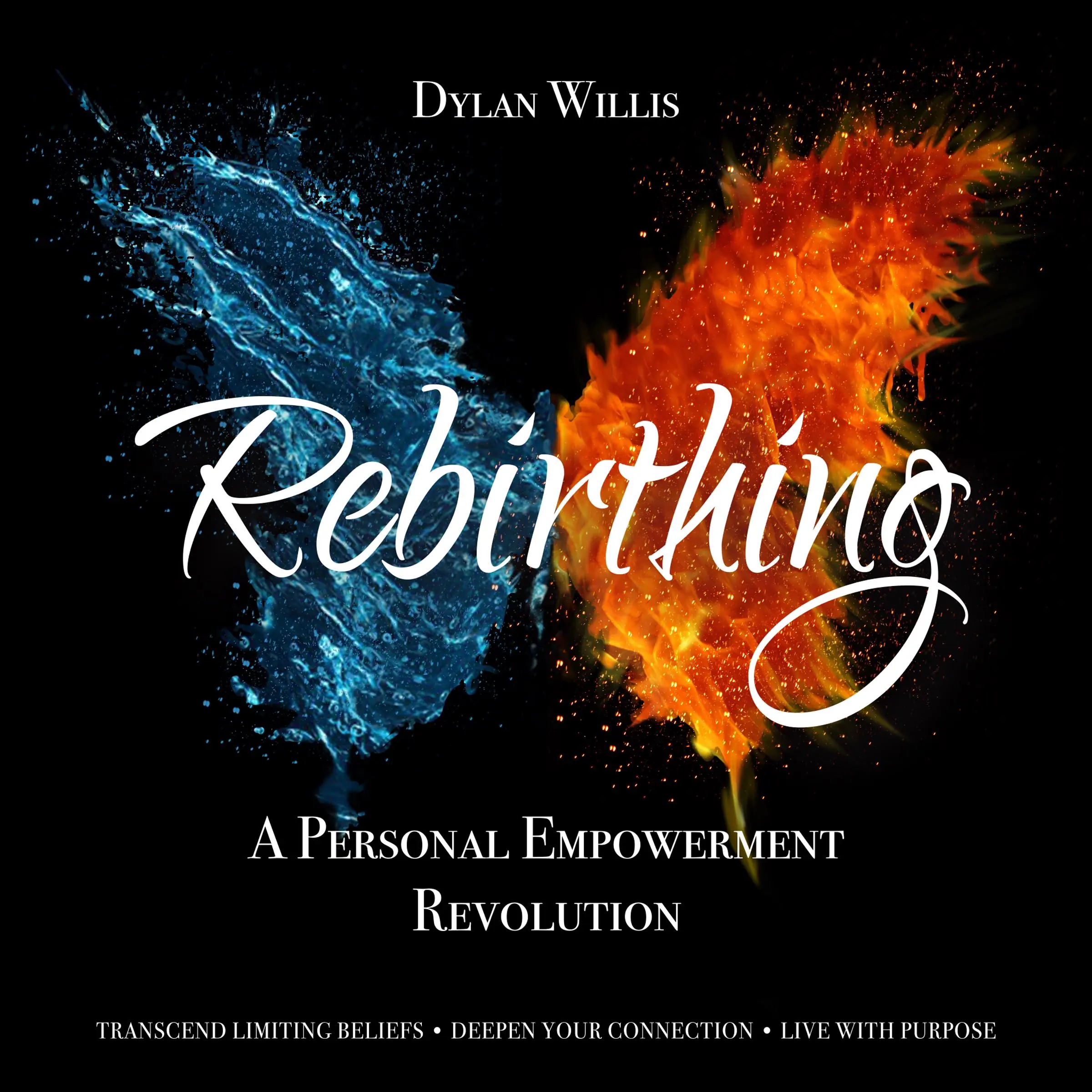 Rebirthing Audiobook by Dylan Willis