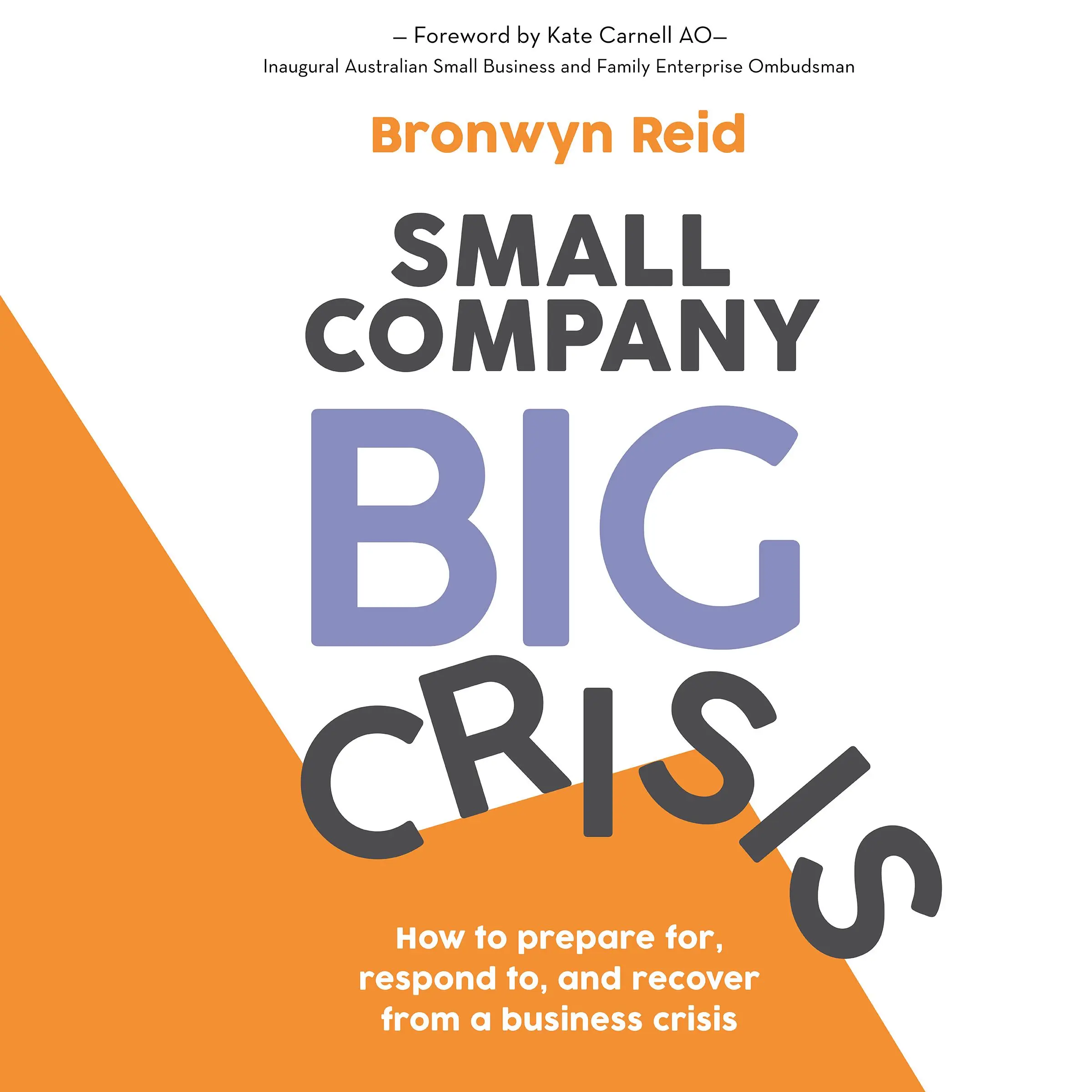 Small Company Big Crisis Audiobook by Bronwyn Reid