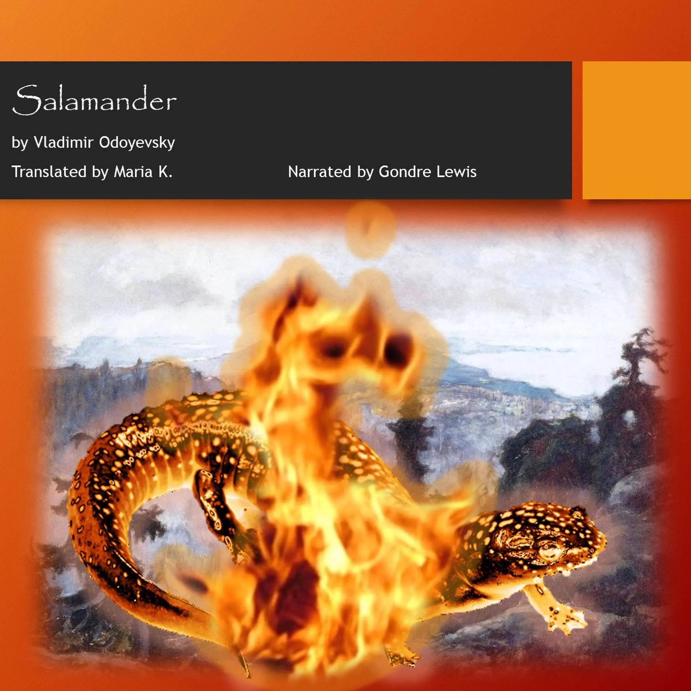 Salamander Audiobook by Vladimir Odoyevsky