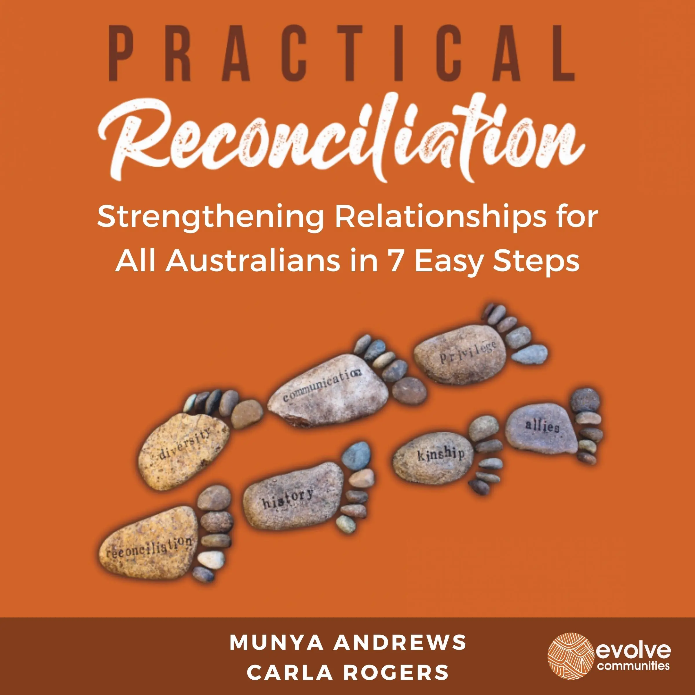 Practical Reconciliation by Munya Andrews and Carla Rogers