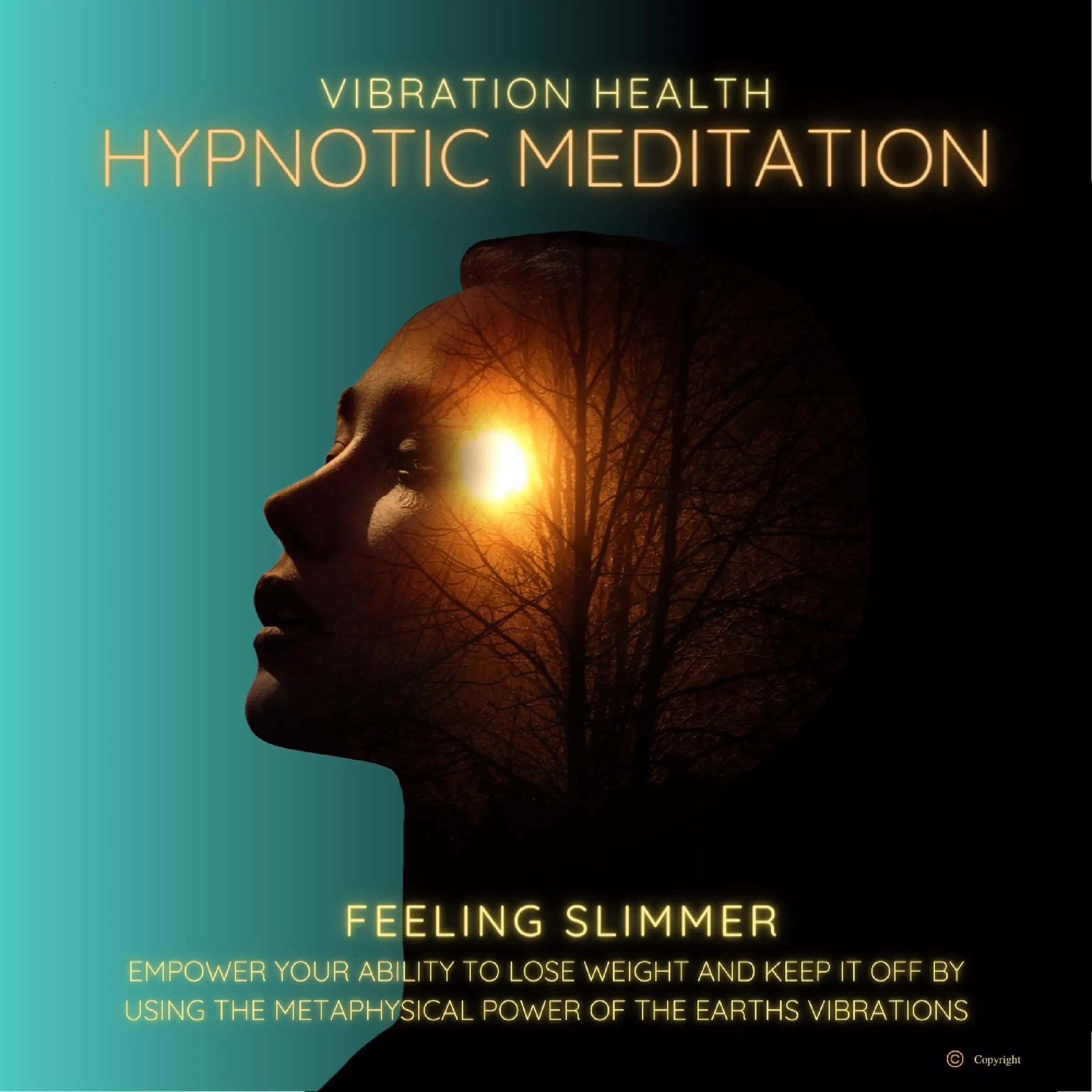 Feeling Slimmer by Vibration Health Hypnotic Meditation Audiobook