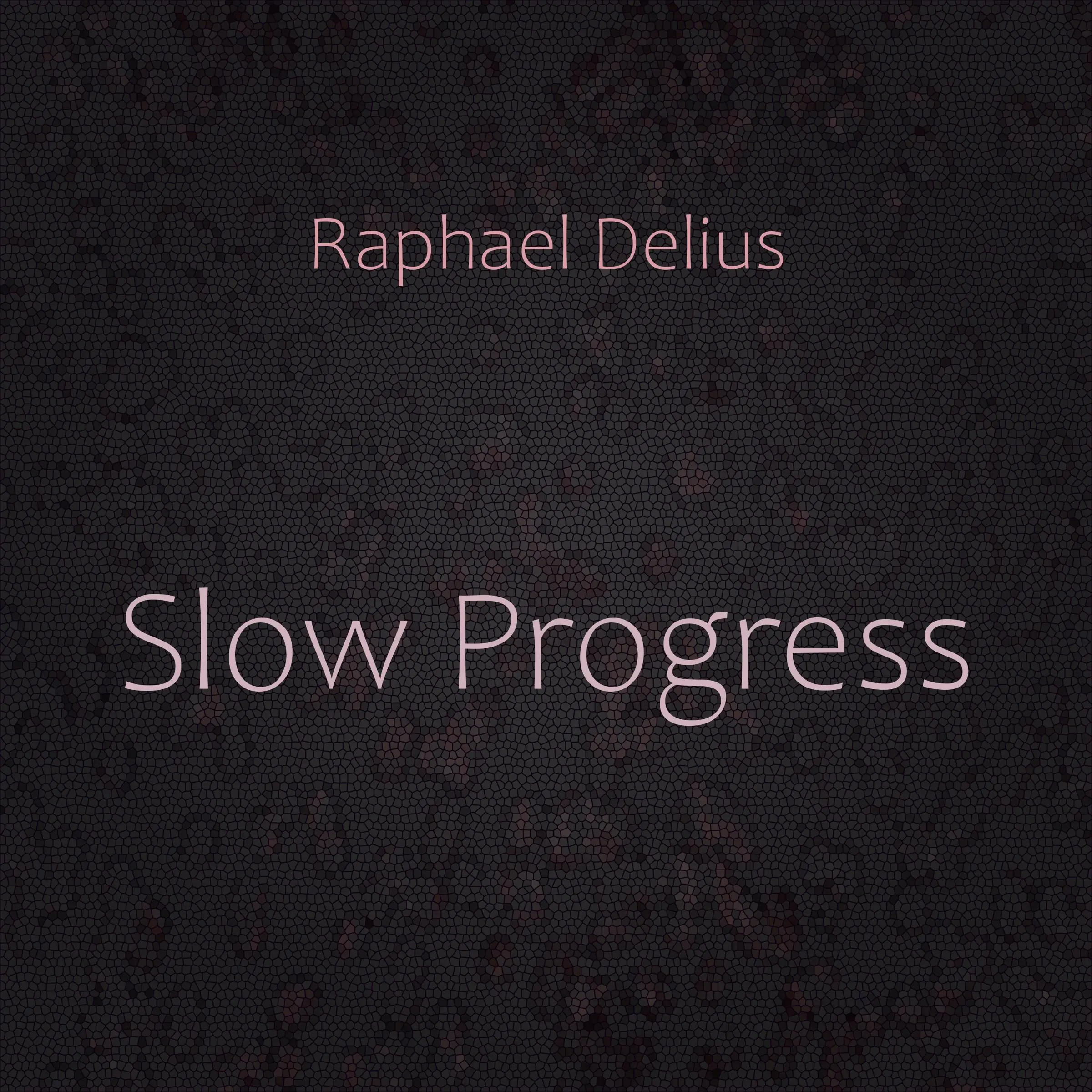 Slow Progress Audiobook by Raphael Delius