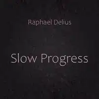Slow Progress Audiobook by Raphael Delius