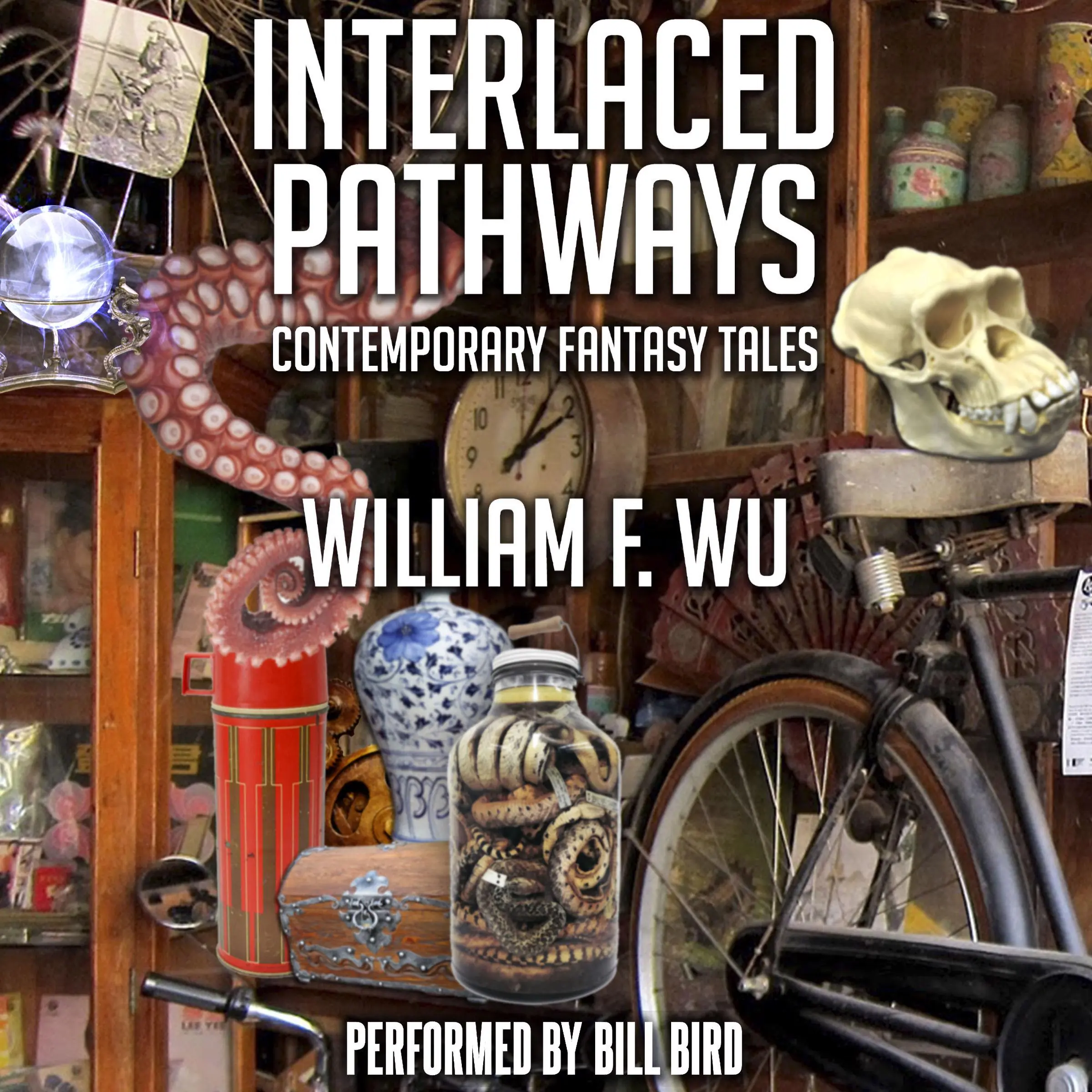 Interlaced Pathways by William F. Wu Audiobook