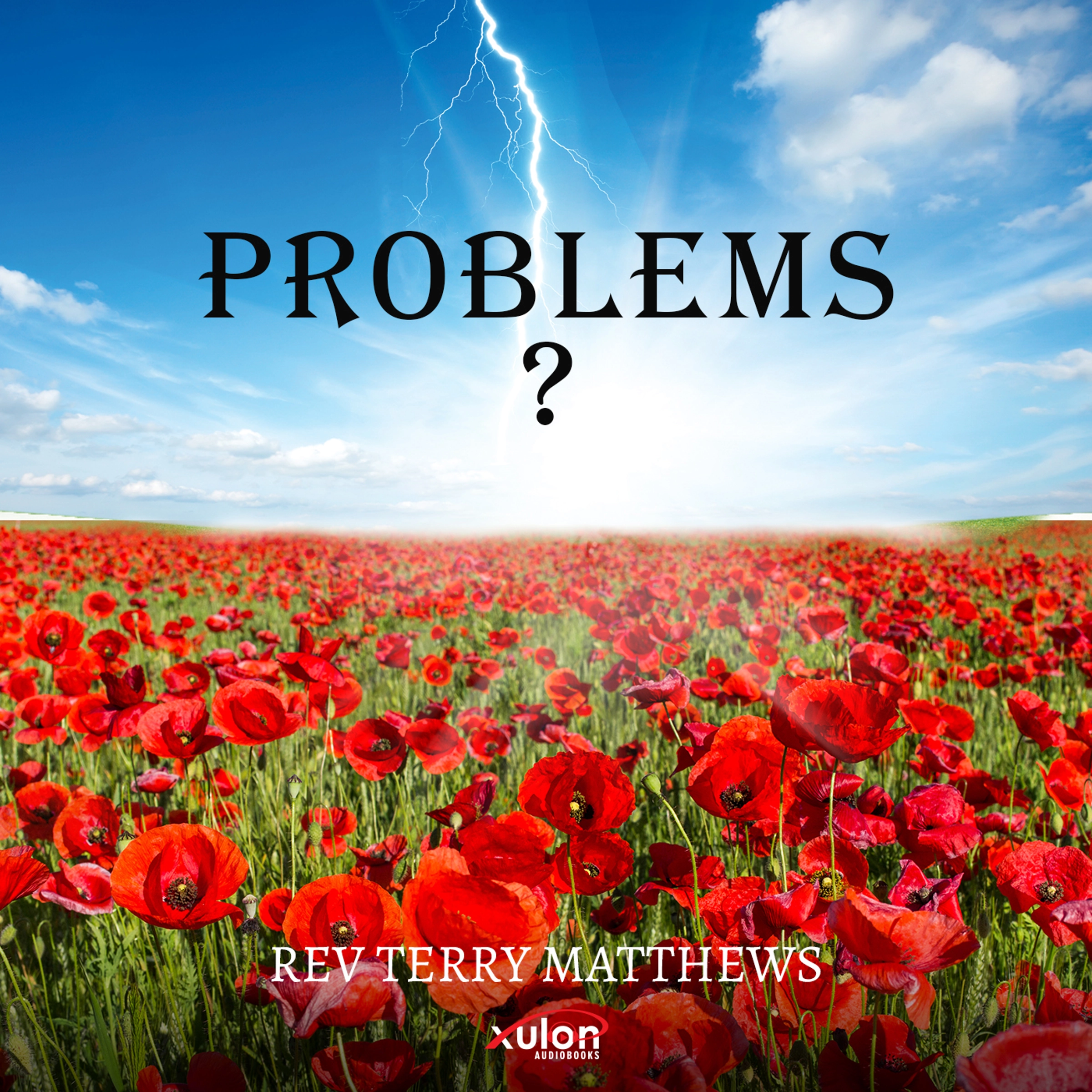 Problems? by Rev Terry Matthews Audiobook