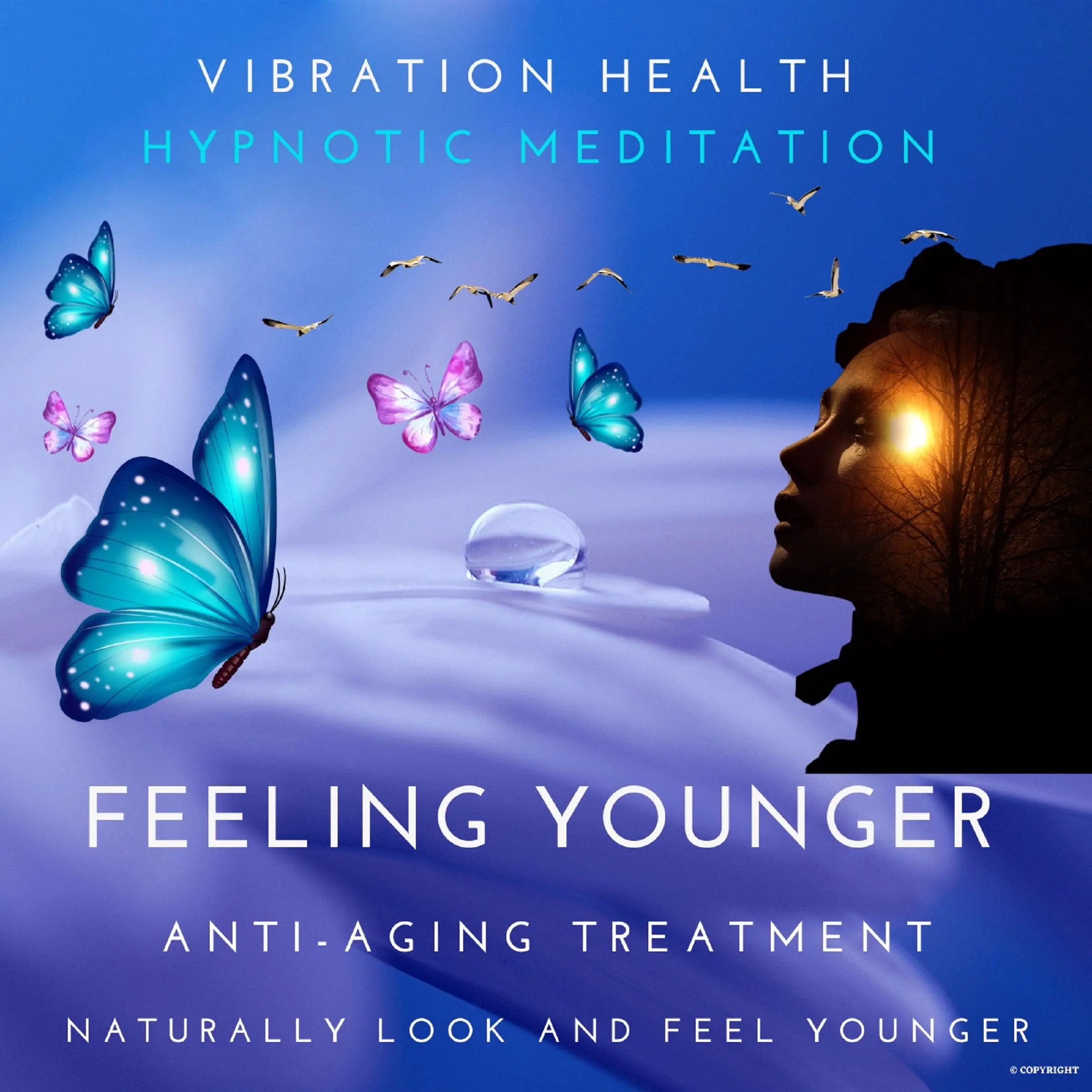 Feeling Younger Audiobook by Vibration Health Hypnotic Meditation