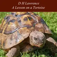 A Lesson on a Tortoise Audiobook by D H Lawrence