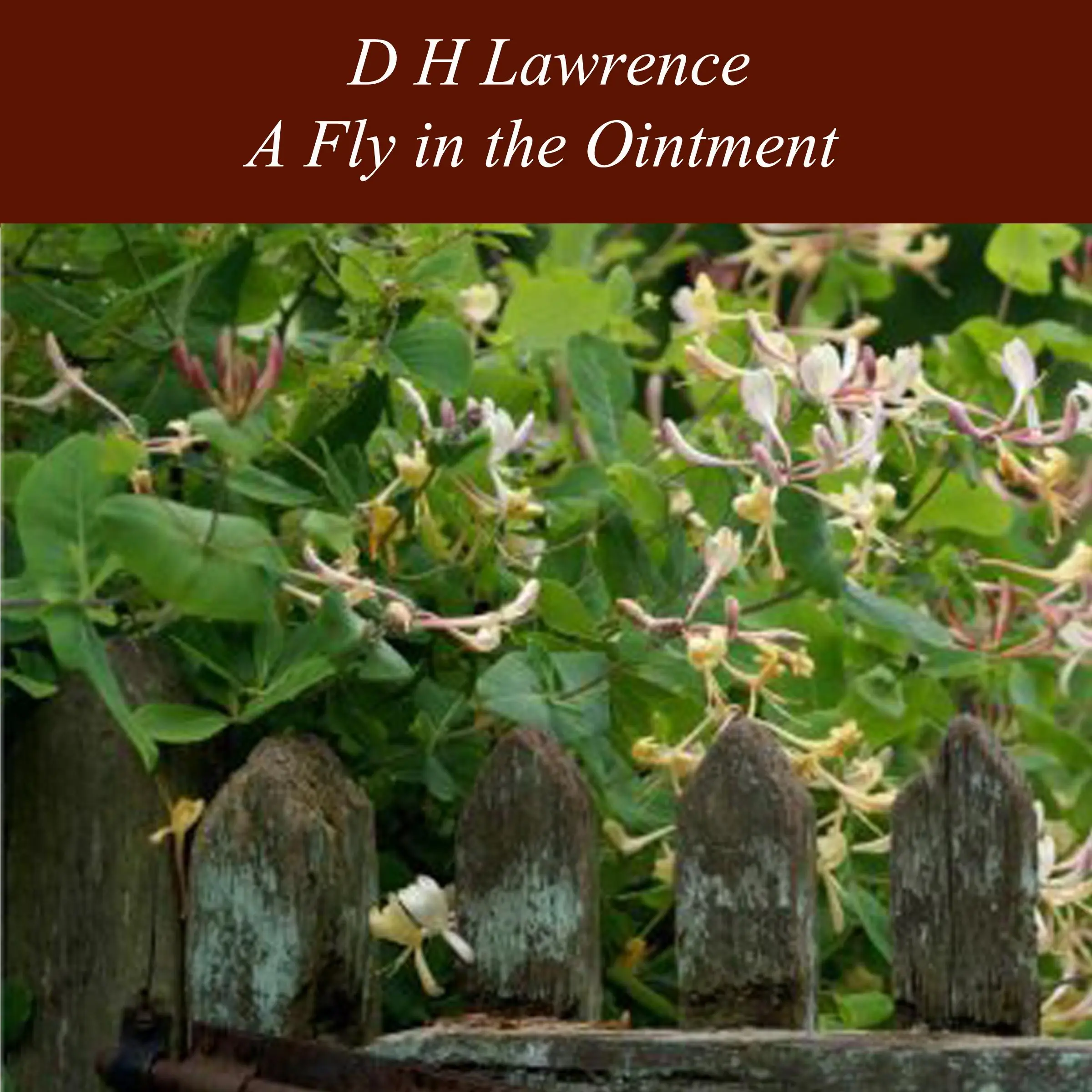 A Fly in the Ointment by D H Lawrence