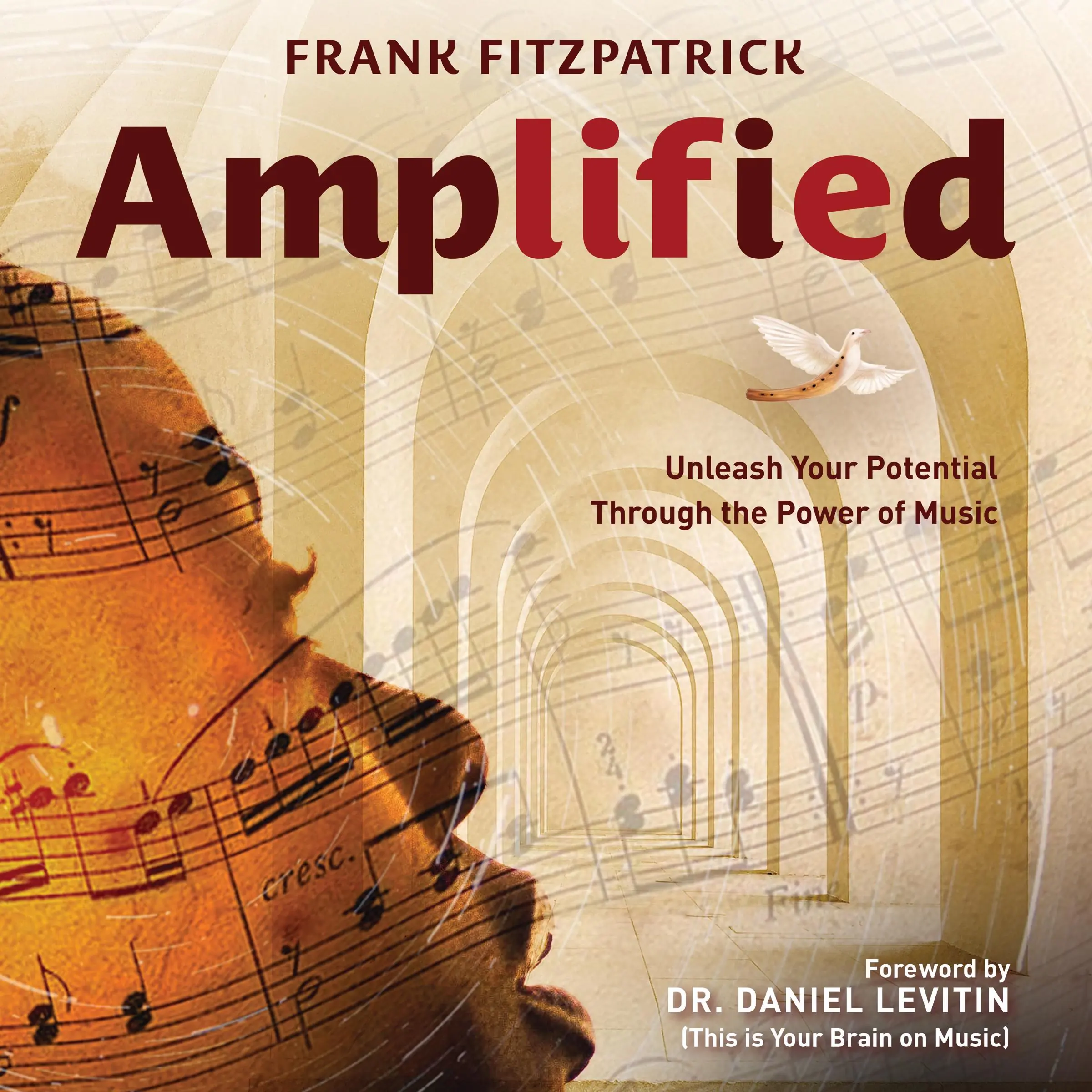 Amplified by Frank Fitzpatrick Audiobook