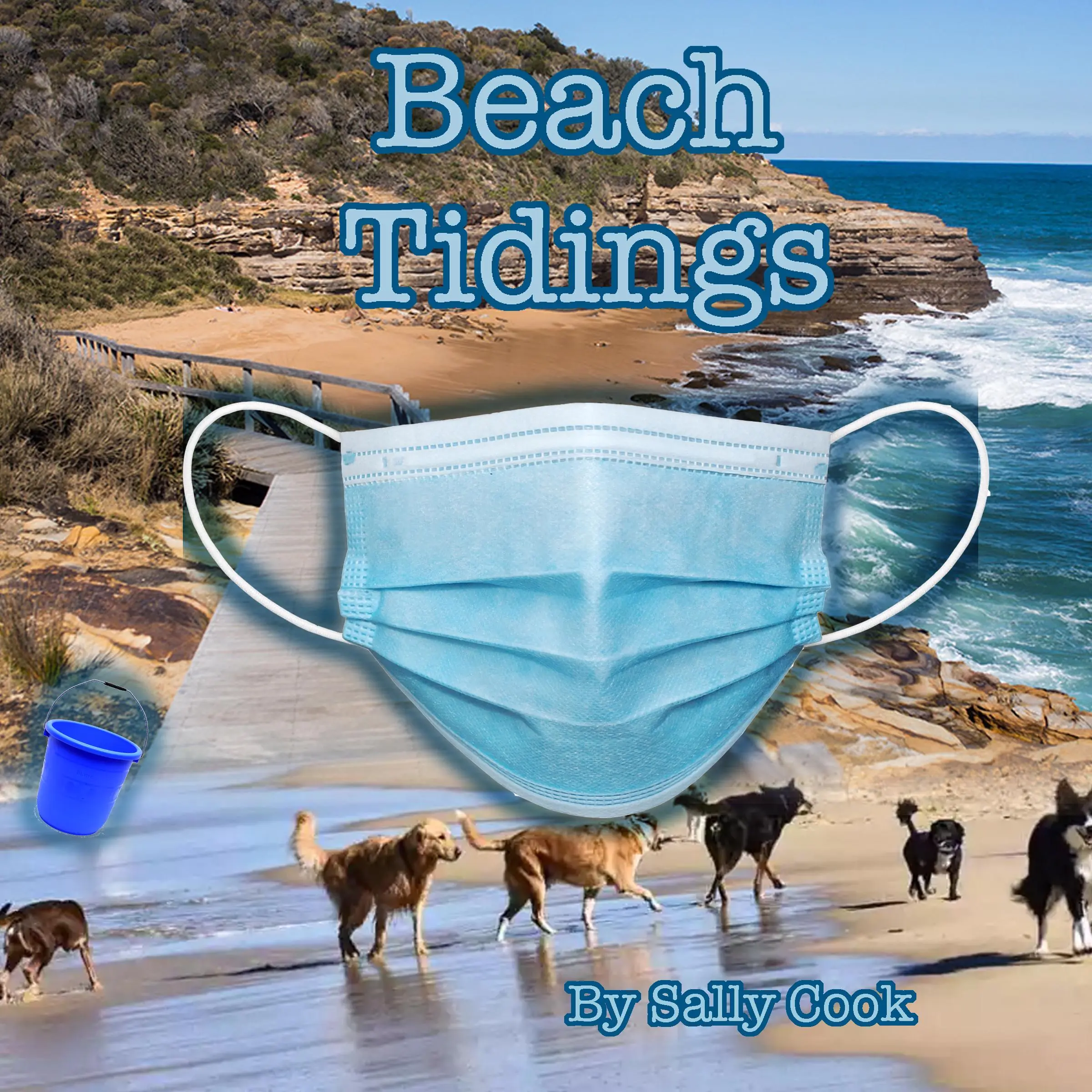 Beach  Tidings by Sally Cook Audiobook