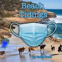 Beach  Tidings Audiobook by Sally Cook