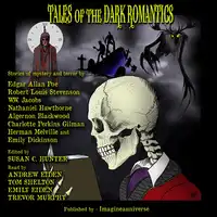 Tales of the Dark Romantics Audiobook by Susan C. Hunter