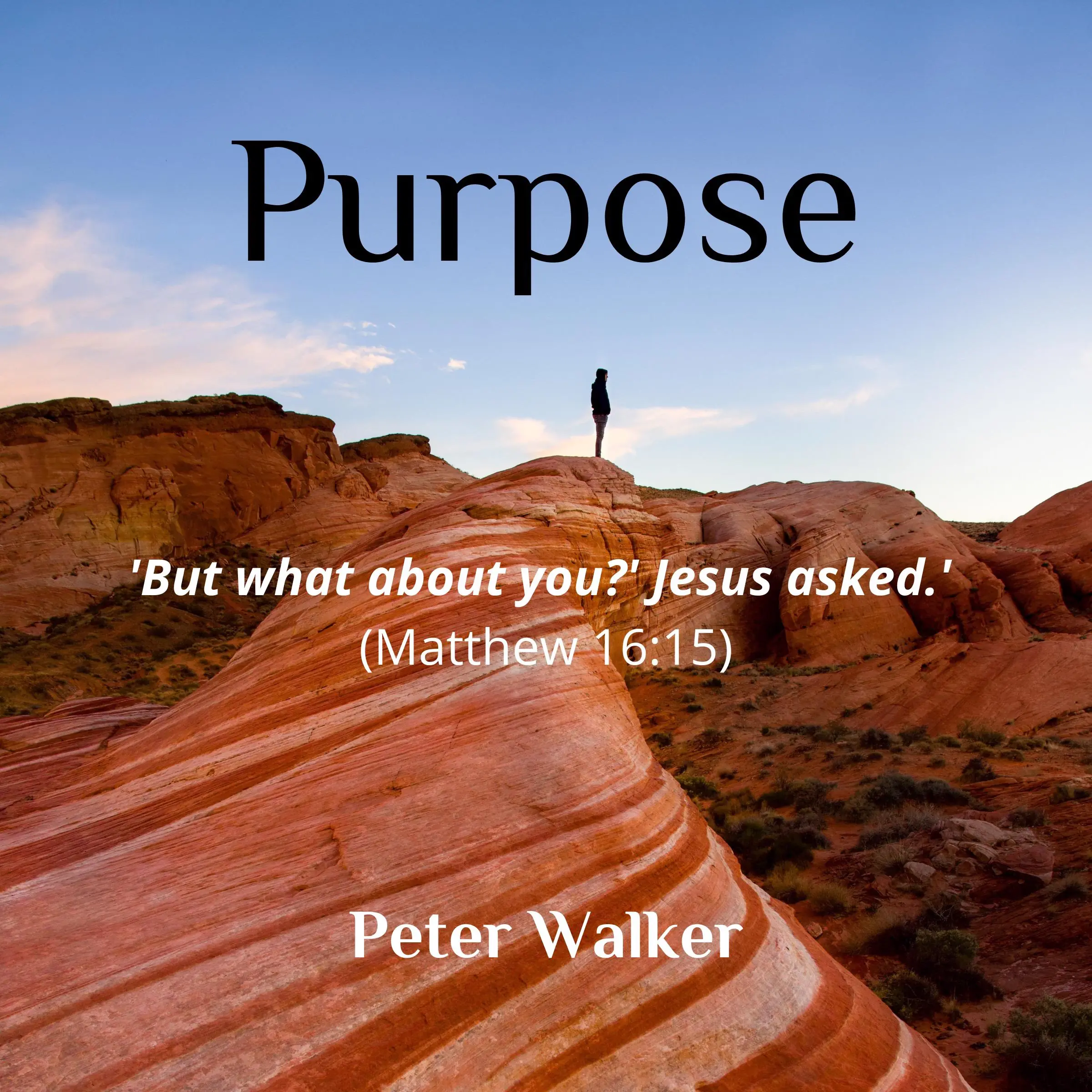 Purpose Audiobook by Peter Walker