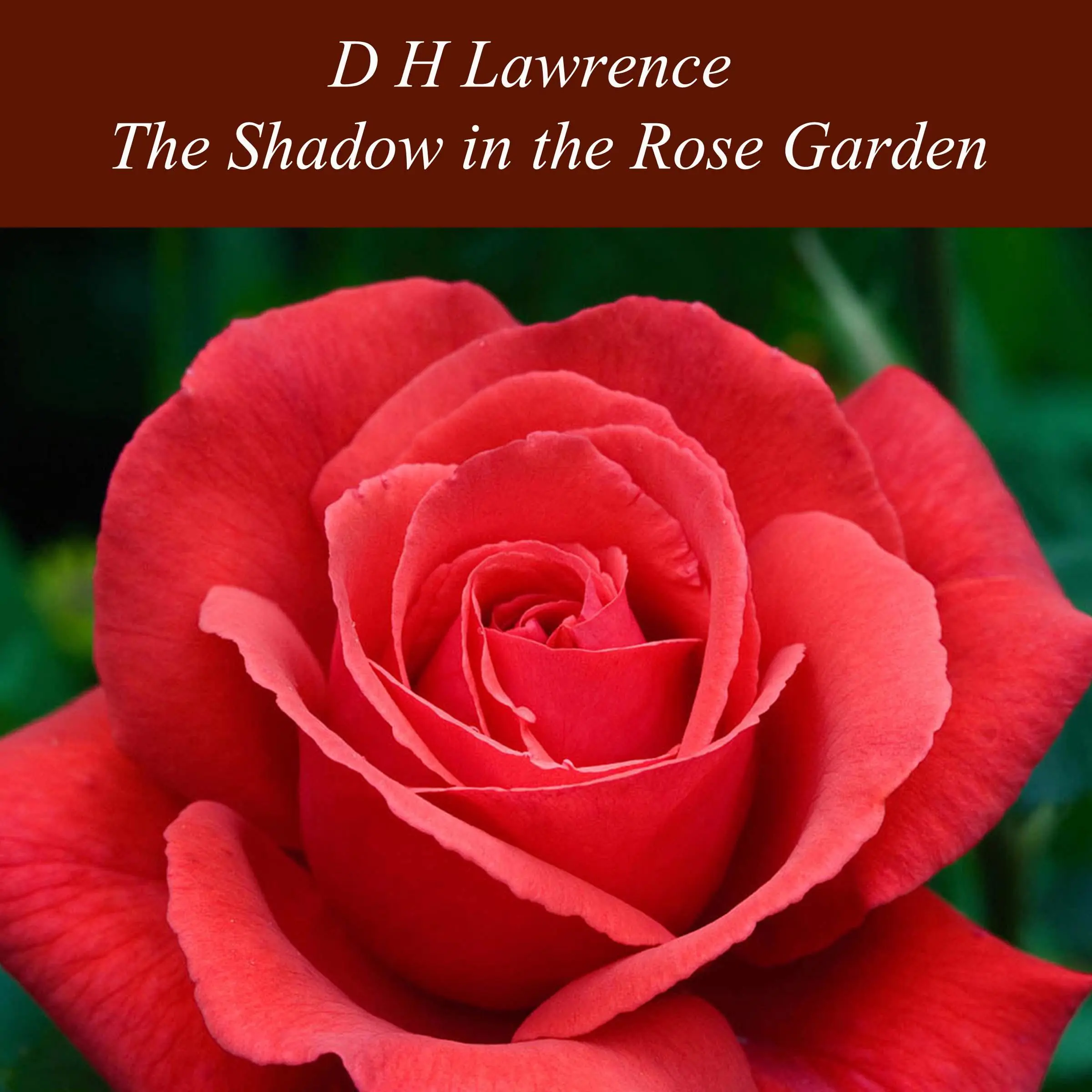 The Shadow in the Rose Garden by D H Lawrence Audiobook