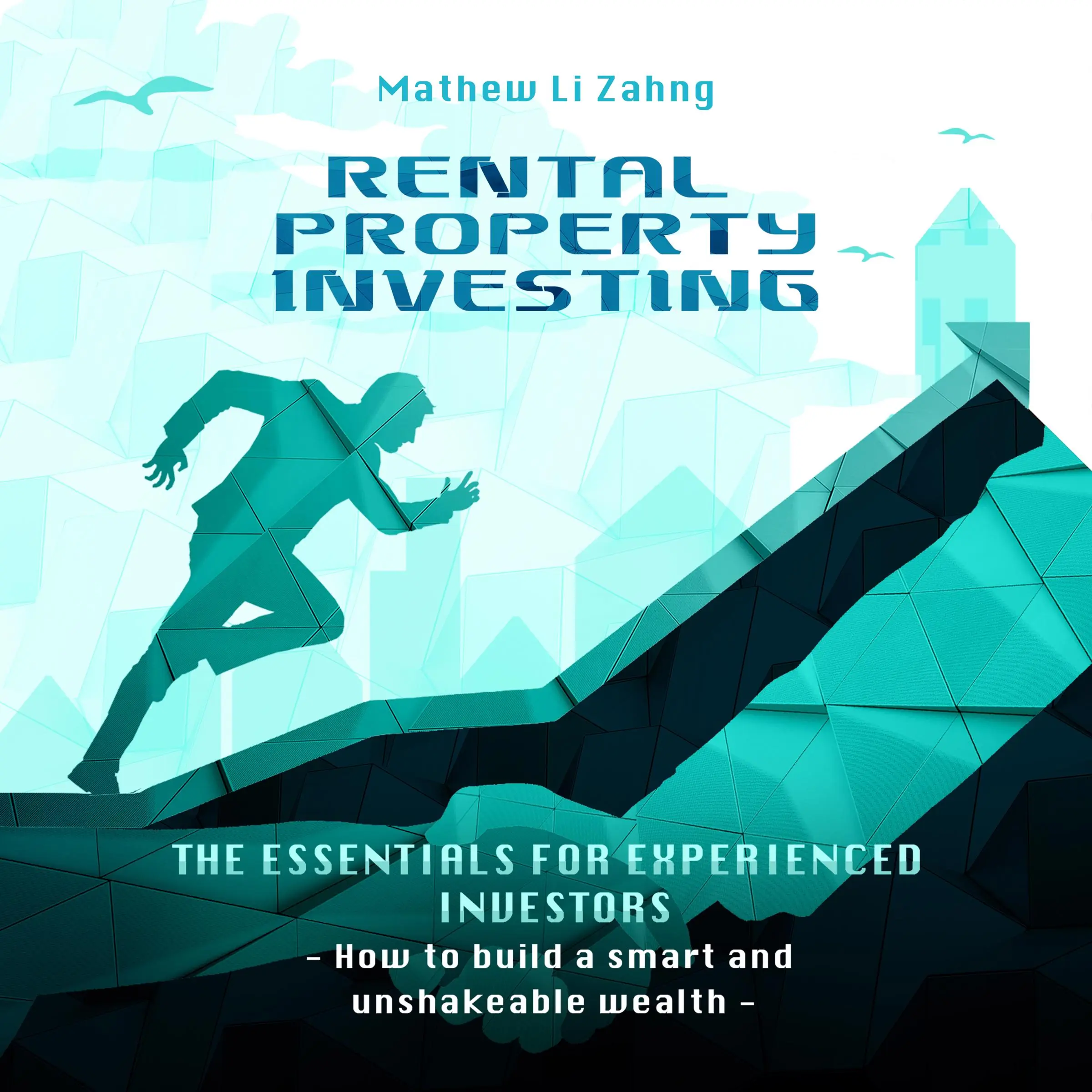 Rental Property Investing: The Essentials for Experienced Investors by Mathew Li Zahng