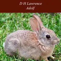 Adolf Audiobook by D H Lawrence