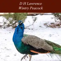 Wintry Peacock Audiobook by D H Lawrence