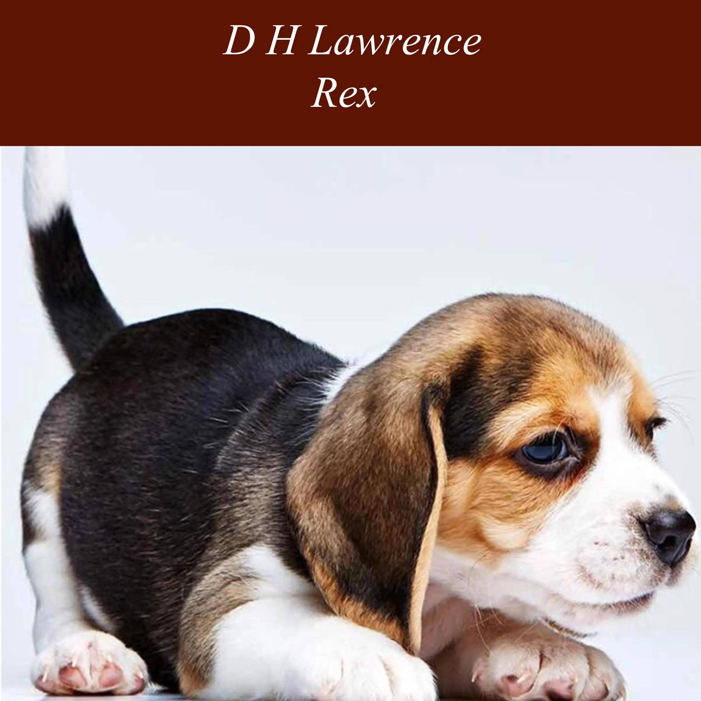 Rex by D H Lawrence Audiobook