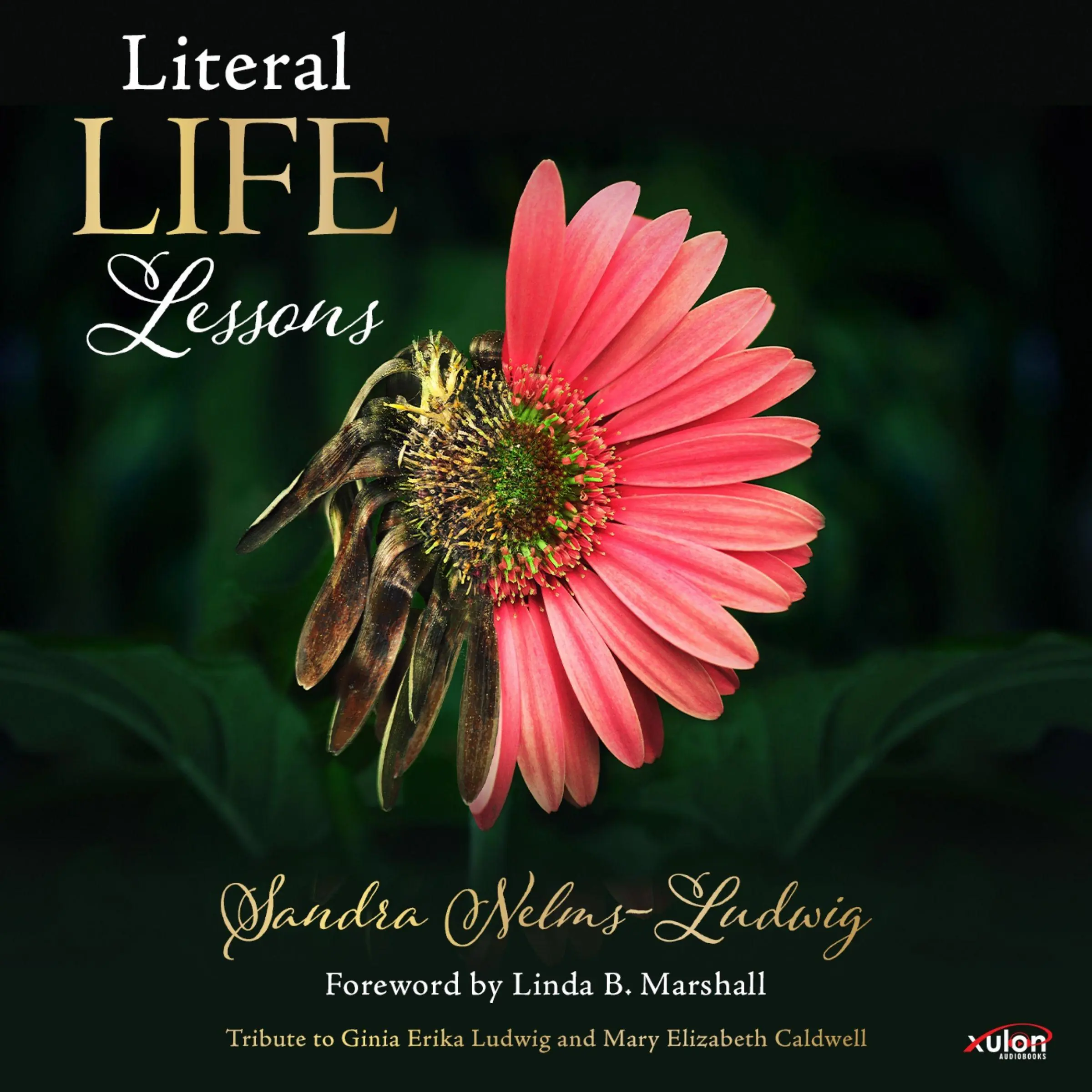 Literal Life Lessons Audiobook by Sandra Nelms-Ludwig