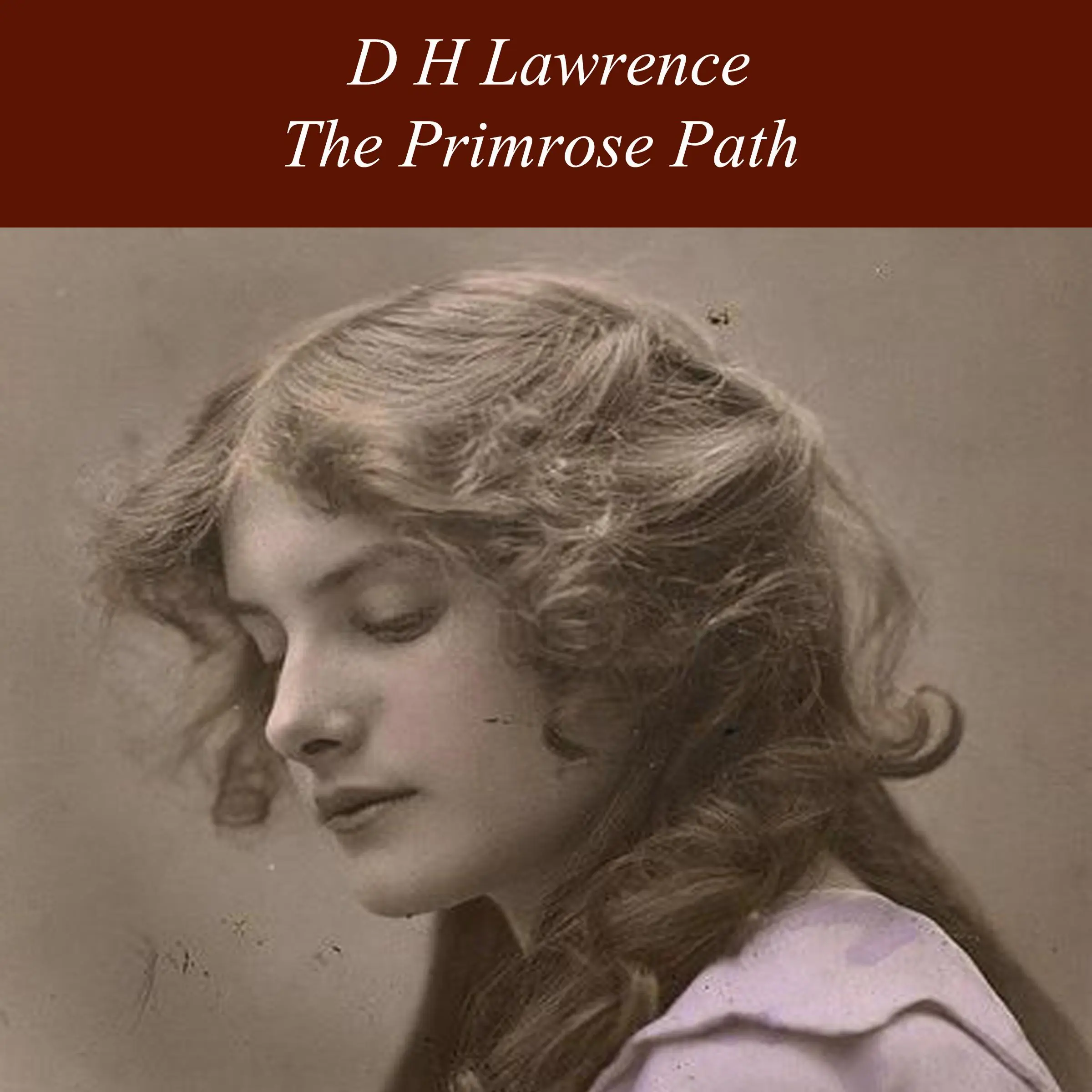 The Primrose Path Audiobook by D H Lawrence