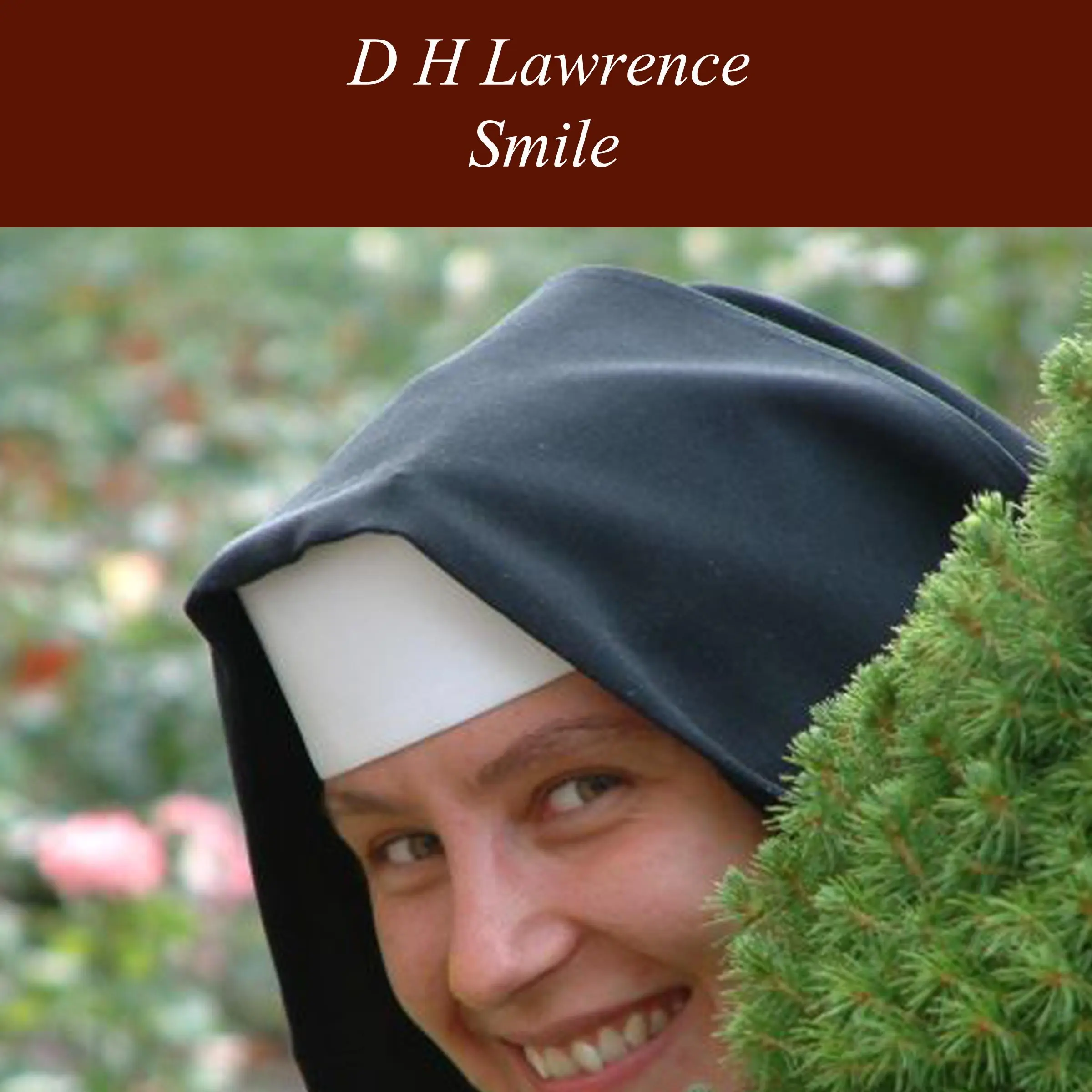 Smile by D H Lawrence