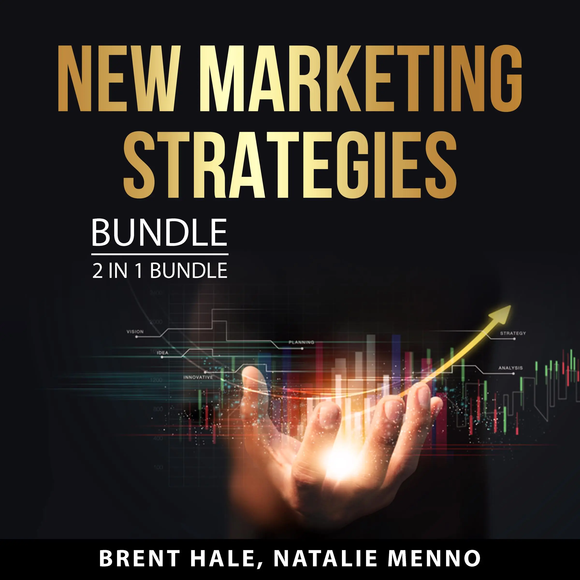 New Marketing Strategies Bundle, 2 in 1 Bundle: Marketing Made Simple and The New Rules of Marketing by and Natalie Menno