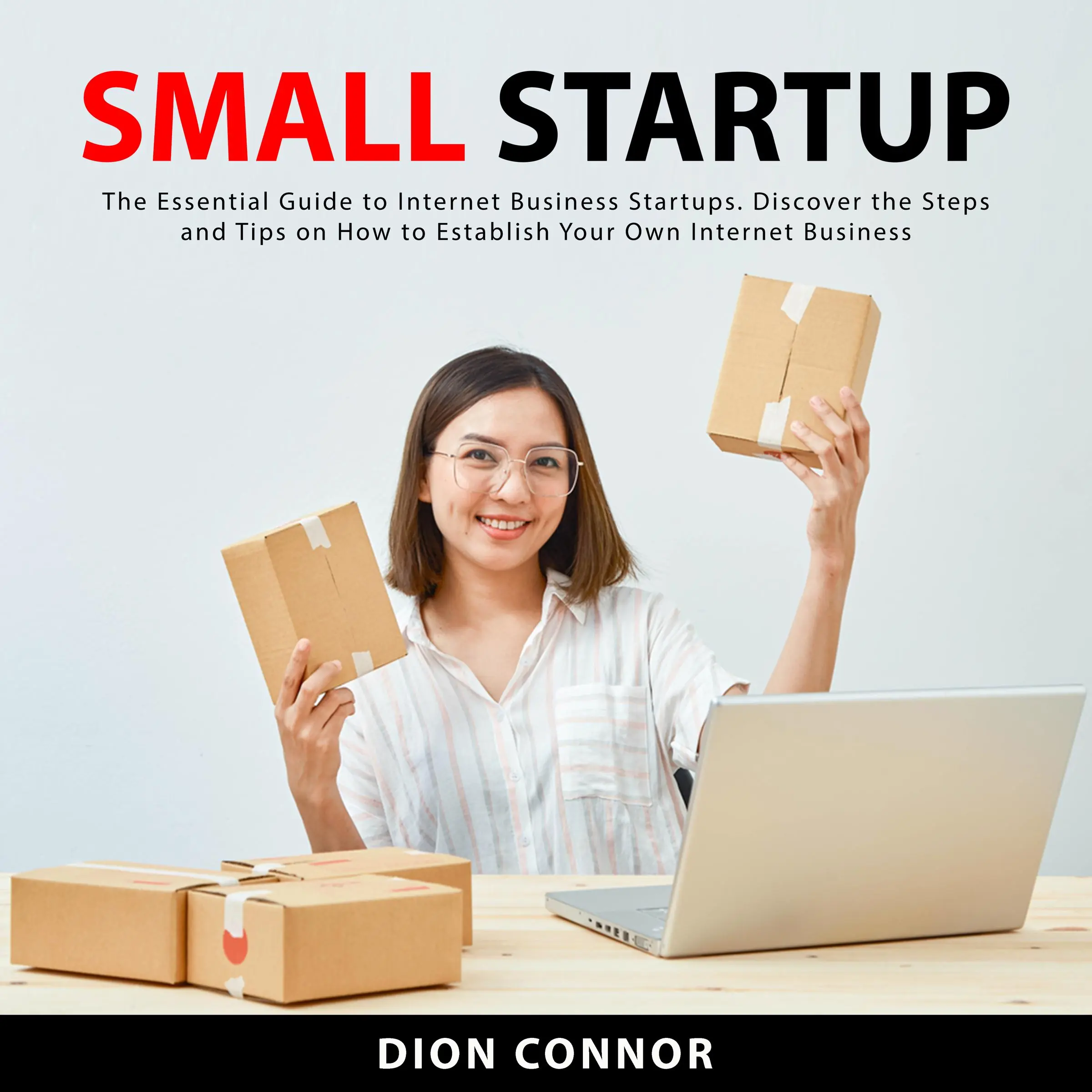 Small Startup: The Essential Guide to Internet Business Startups. Discover the Steps and Tips on How to Establish Your Own Internet Business Audiobook by Dion Connor