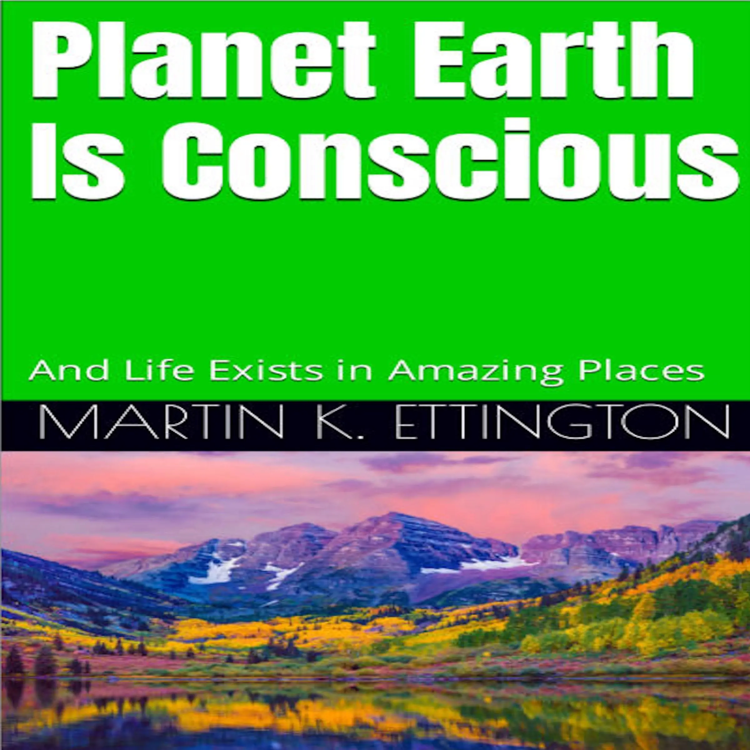 Planet Earth Is Conscious by Martin K. Ettington Audiobook