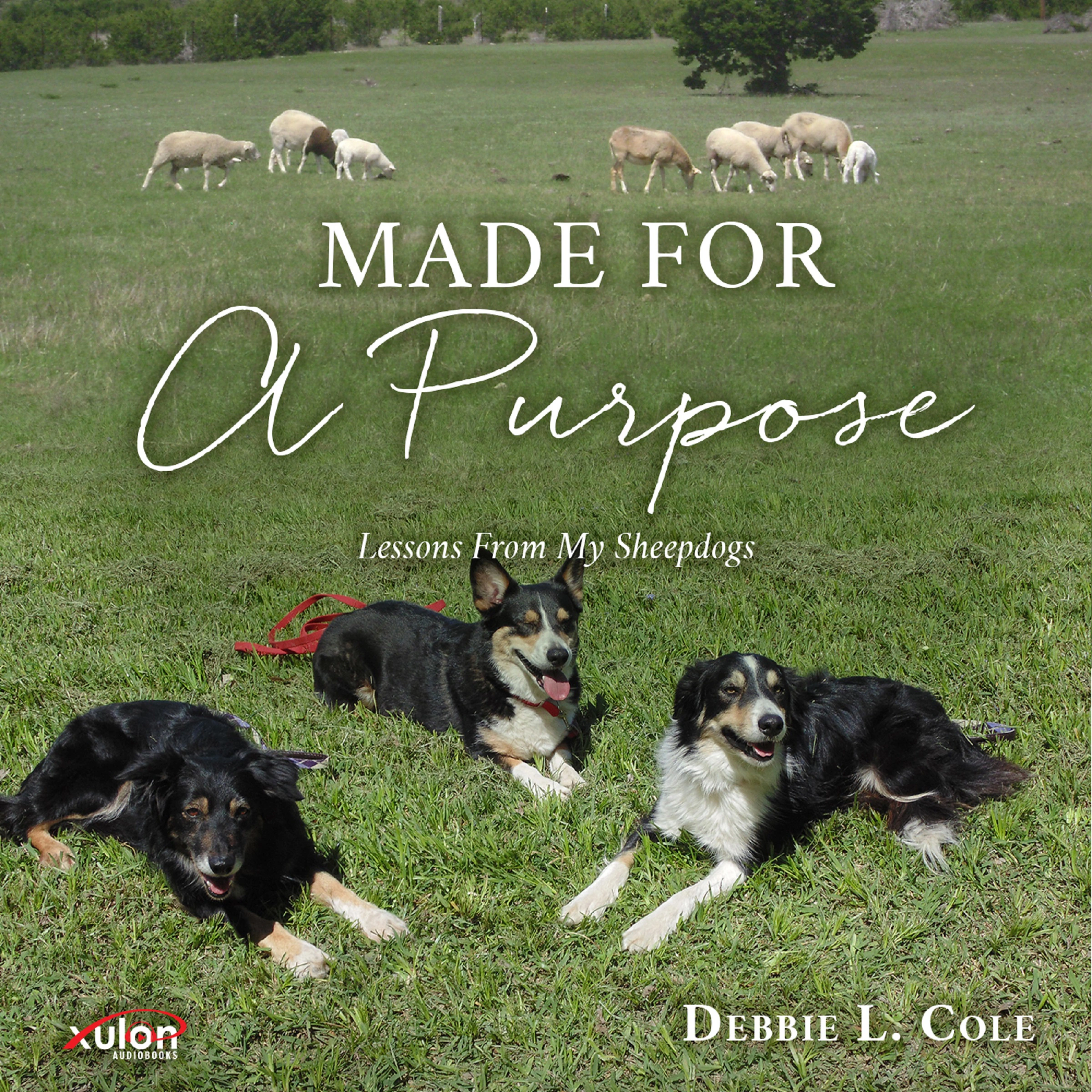 Made For A Purpose Audiobook by Debbie L. Cole