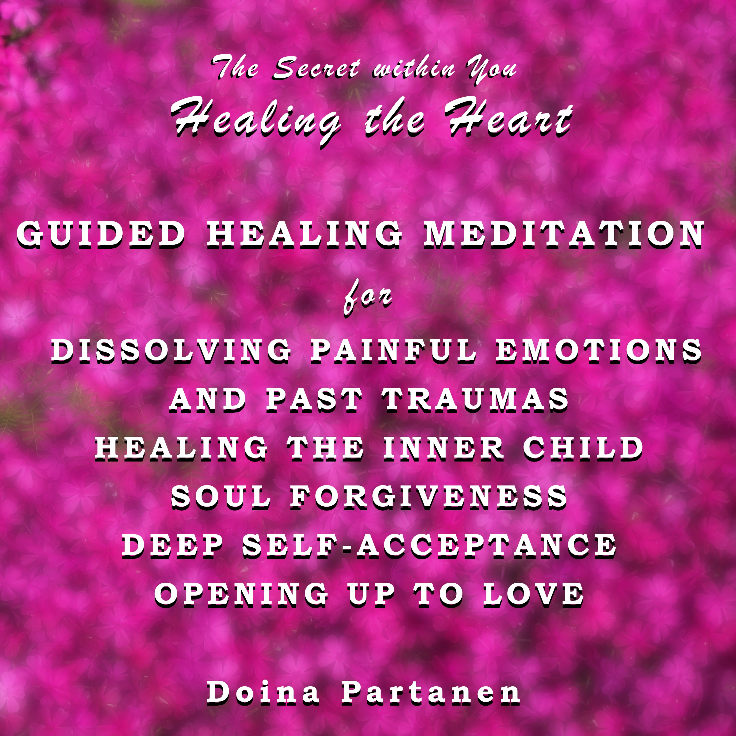 The Secret within You - Healing the Heart Audiobook by Doina Partanen