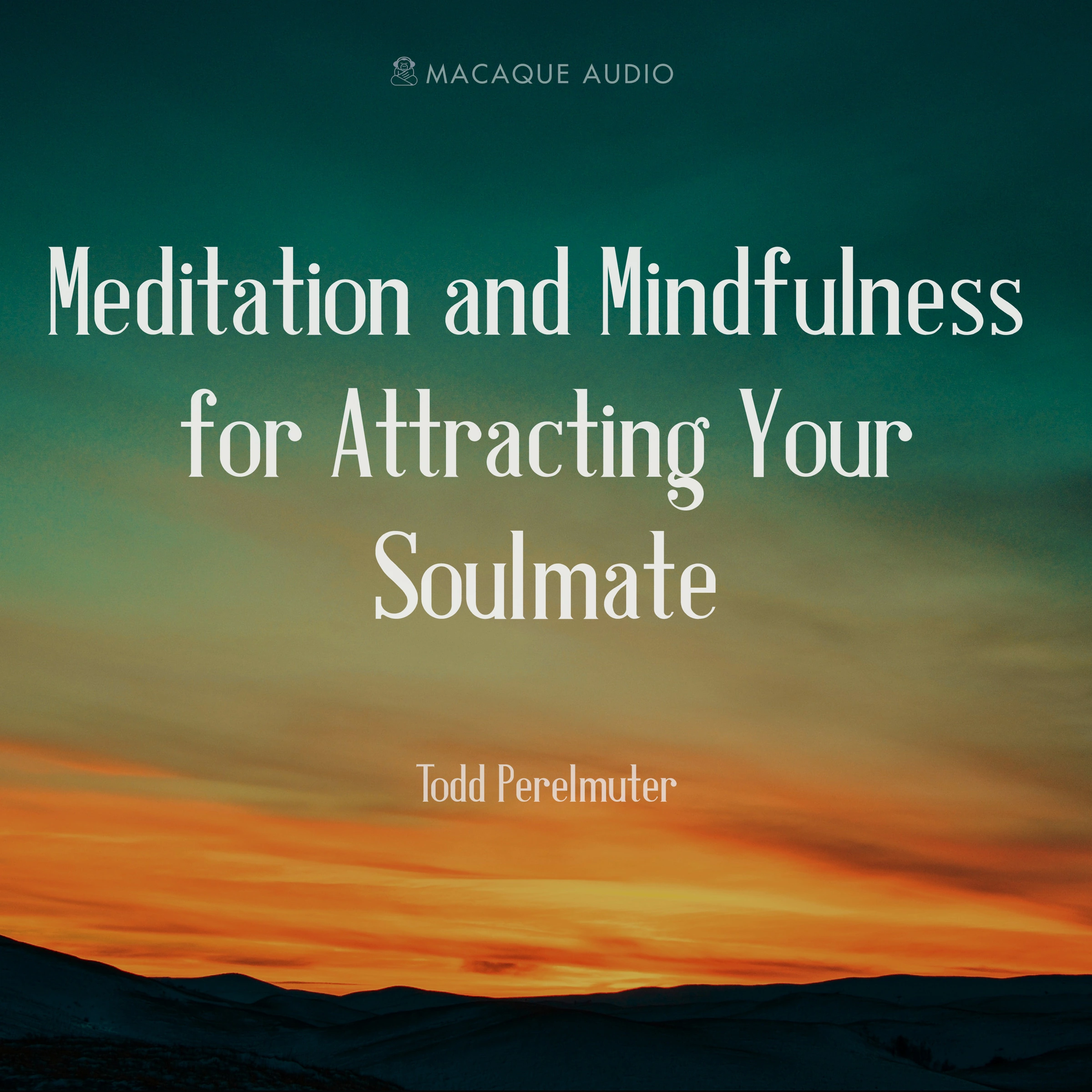 Meditation and Mindfulness for Attracting Your Soulmate Audiobook by Todd Perelmuter