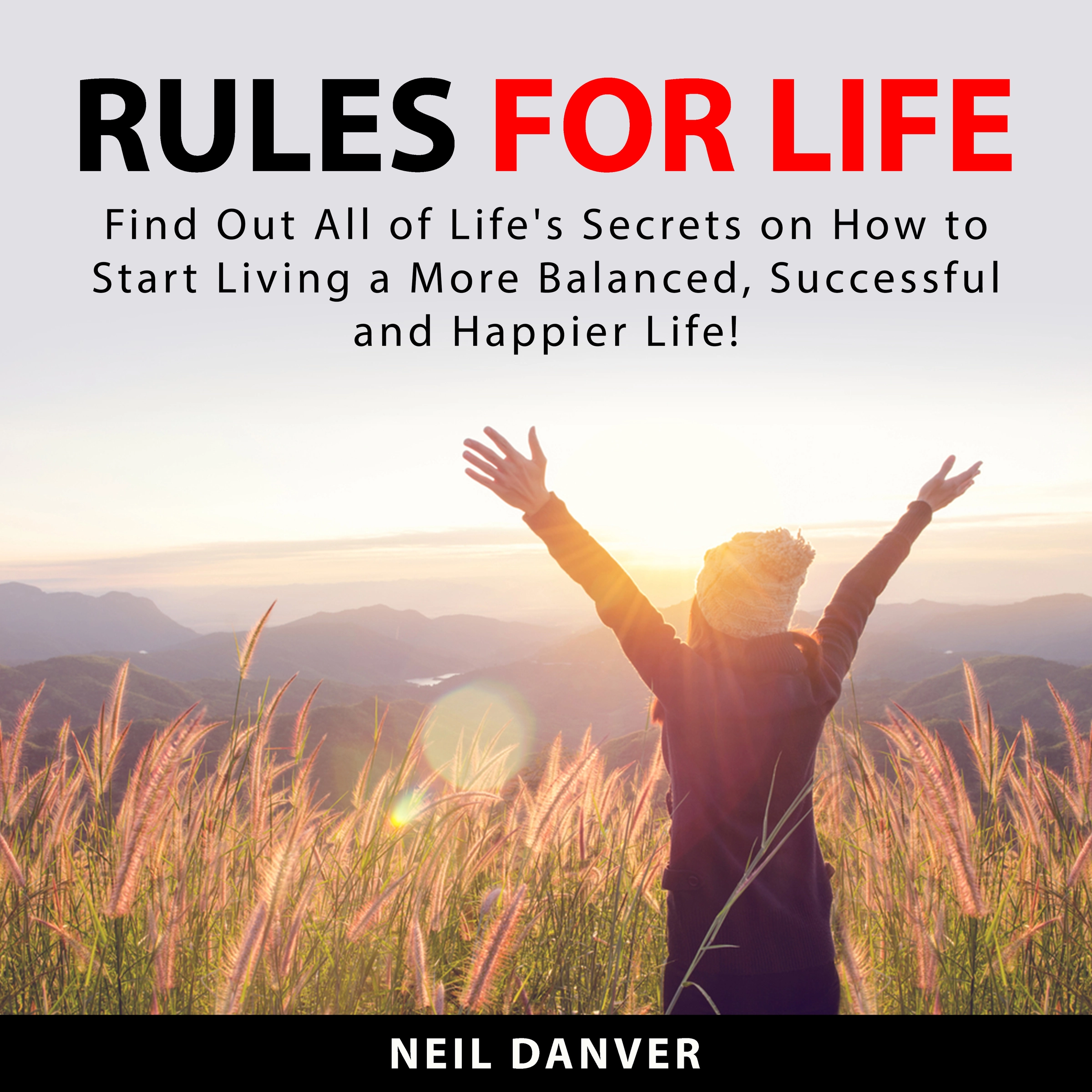 Rules for Life by Neil Danver Audiobook