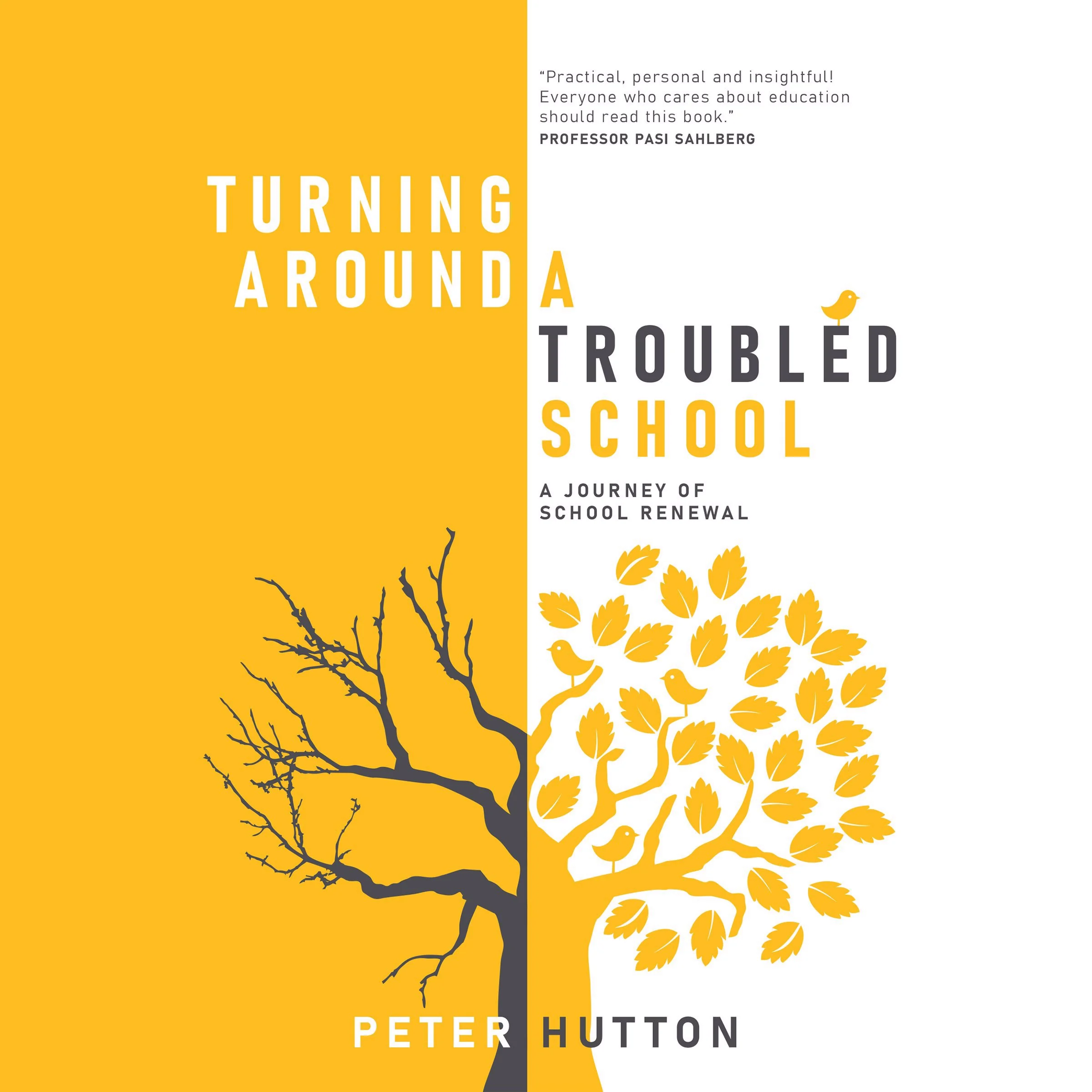 Turning Around a Troubled School by Peter Hutton Audiobook