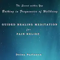 The Secret within You - Bathing in Frequencies of Wellbeing Audiobook by Doina Partanen