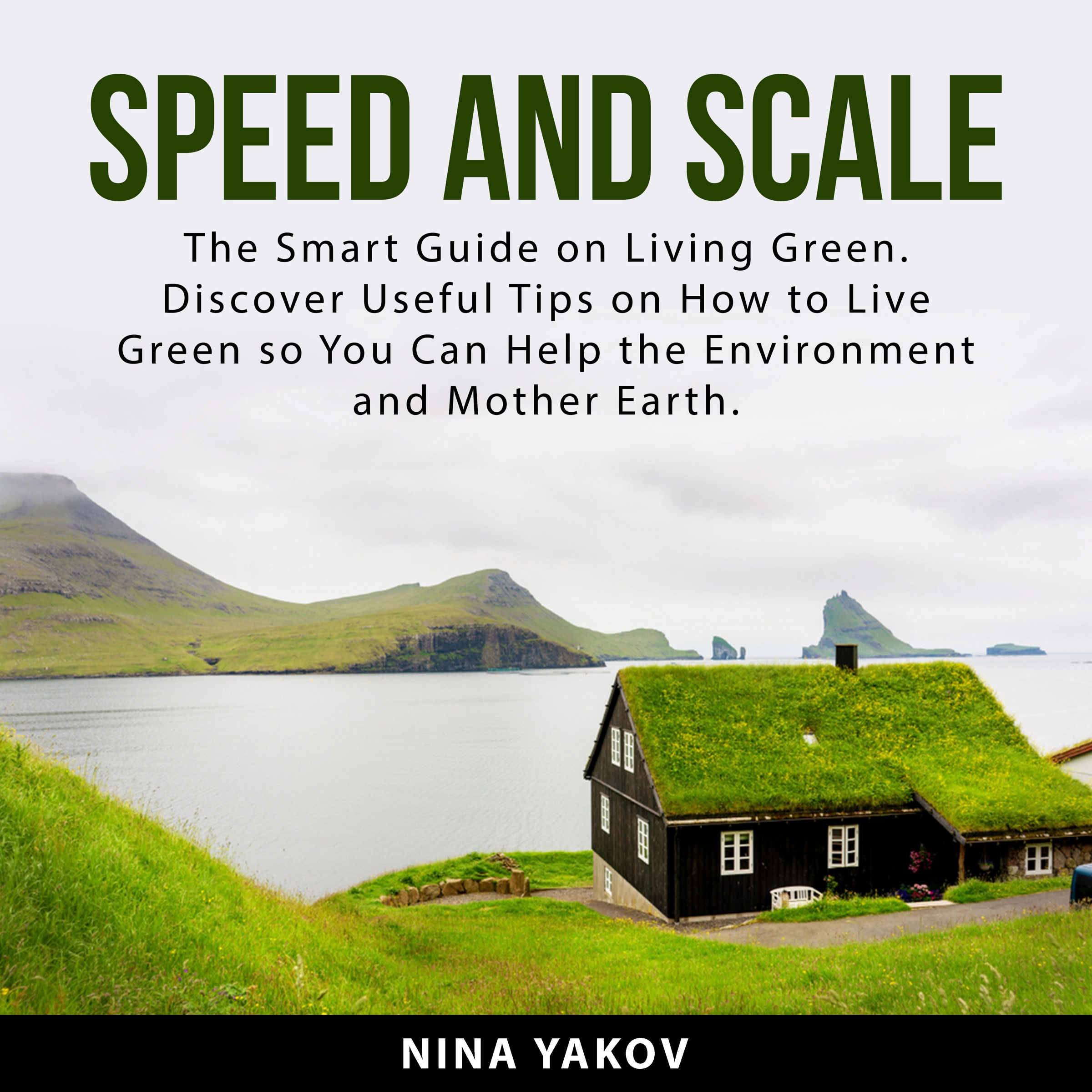 Speed and Scale by Nina Yakov Audiobook