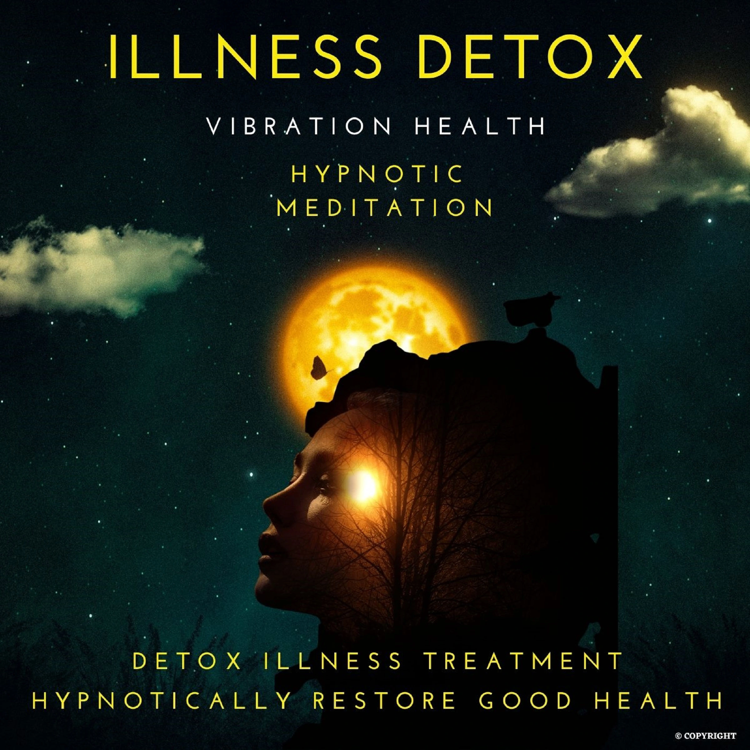 Illness Detox by Vibration Health Hypnotic Meditation